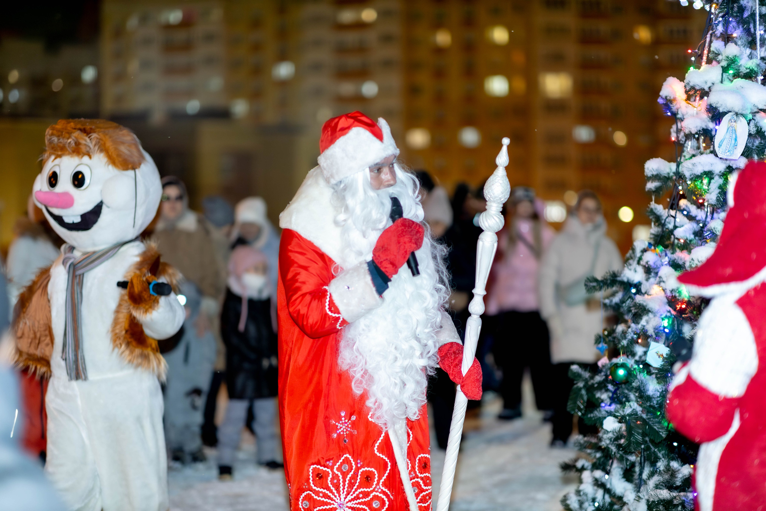 Елка в микрорайоне Университет. Фотограф г. Чебоксары Николай Фадеев