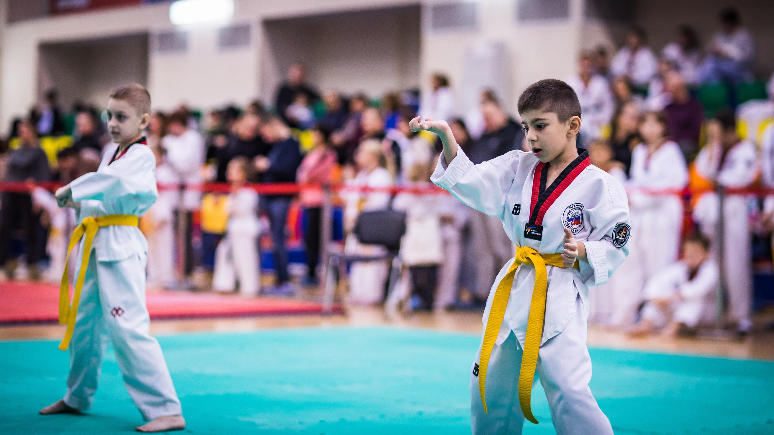 Турнир Федерации детского тхэквондо России по дисциплине ПХУМСЭ. Спортивный фотограф Максим Серегин