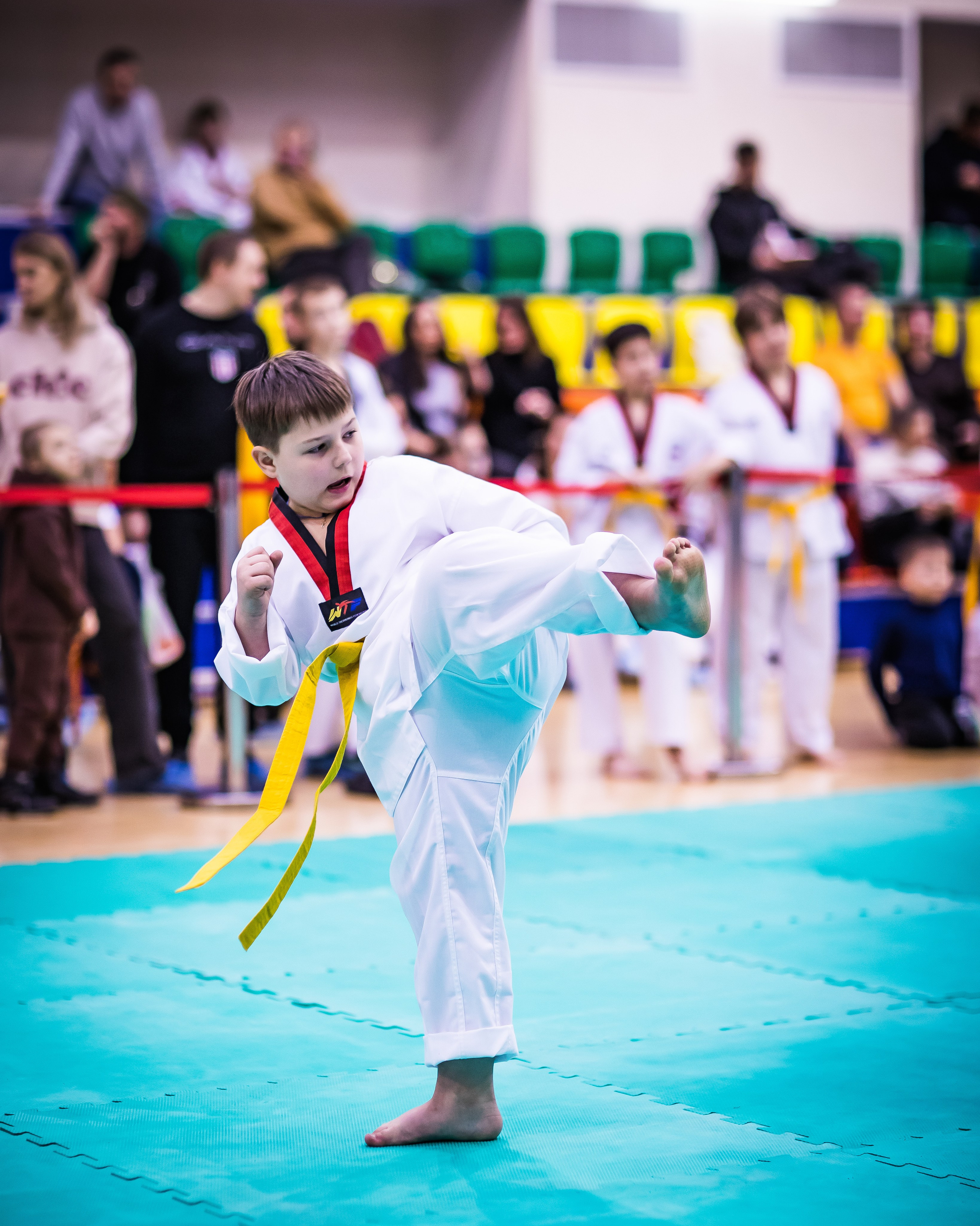 Турнир Федерации детского тхэквондо России по дисциплине ПХУМСЭ. Спортивный фотограф Максим Серегин