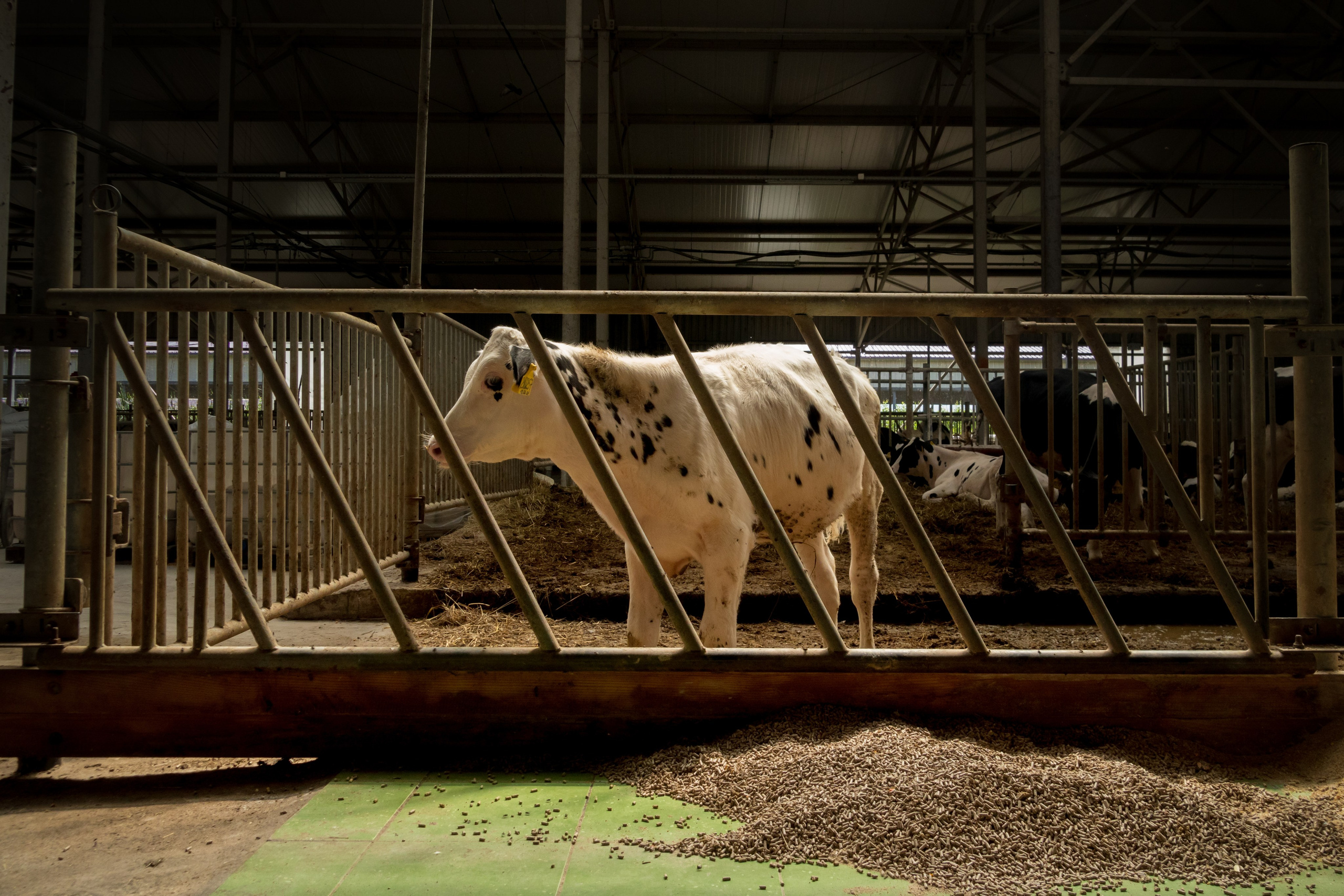 Промышленная фотография. Artur Photography