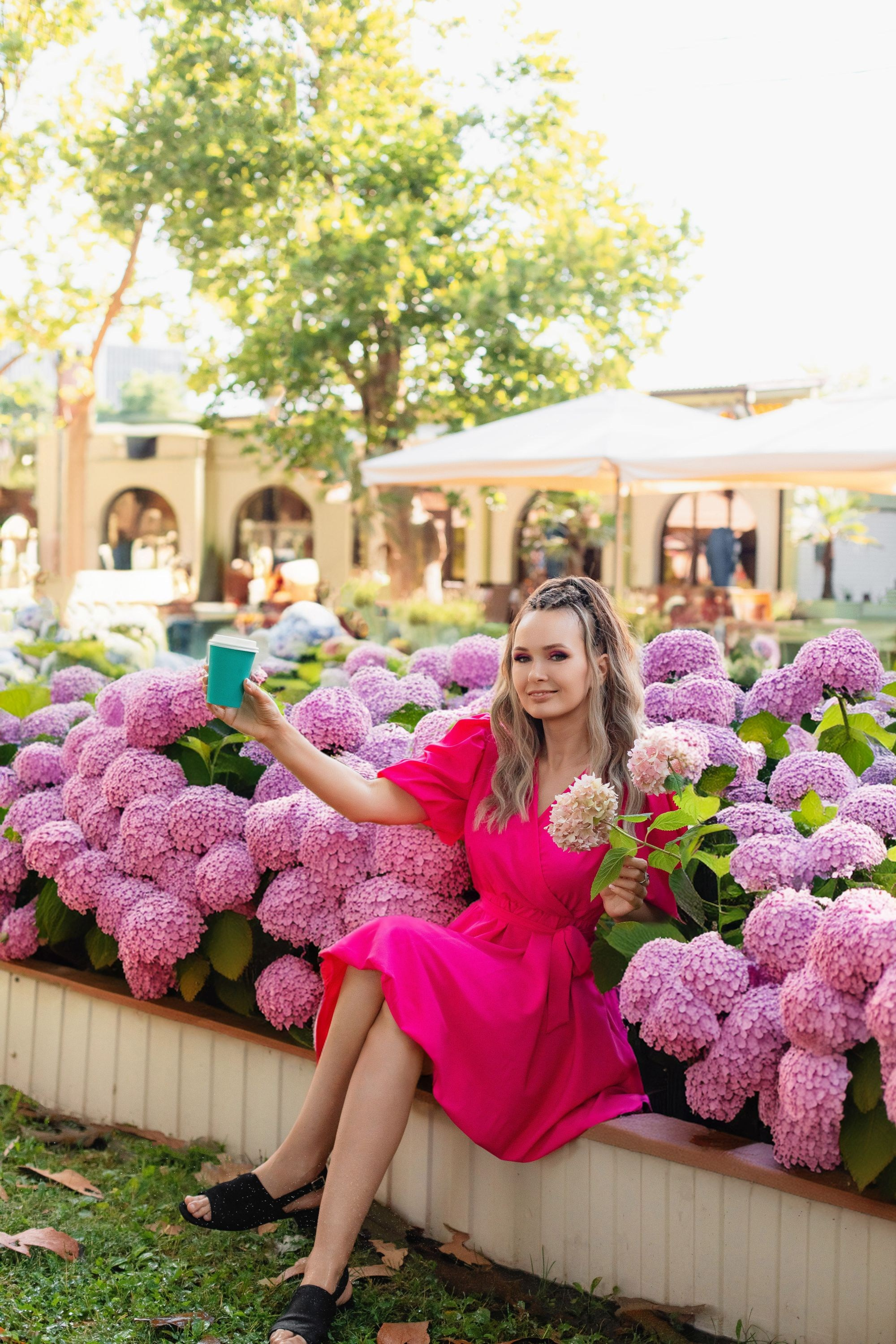 Гортензии. Фотограф Марина Верятинская | Краснодар