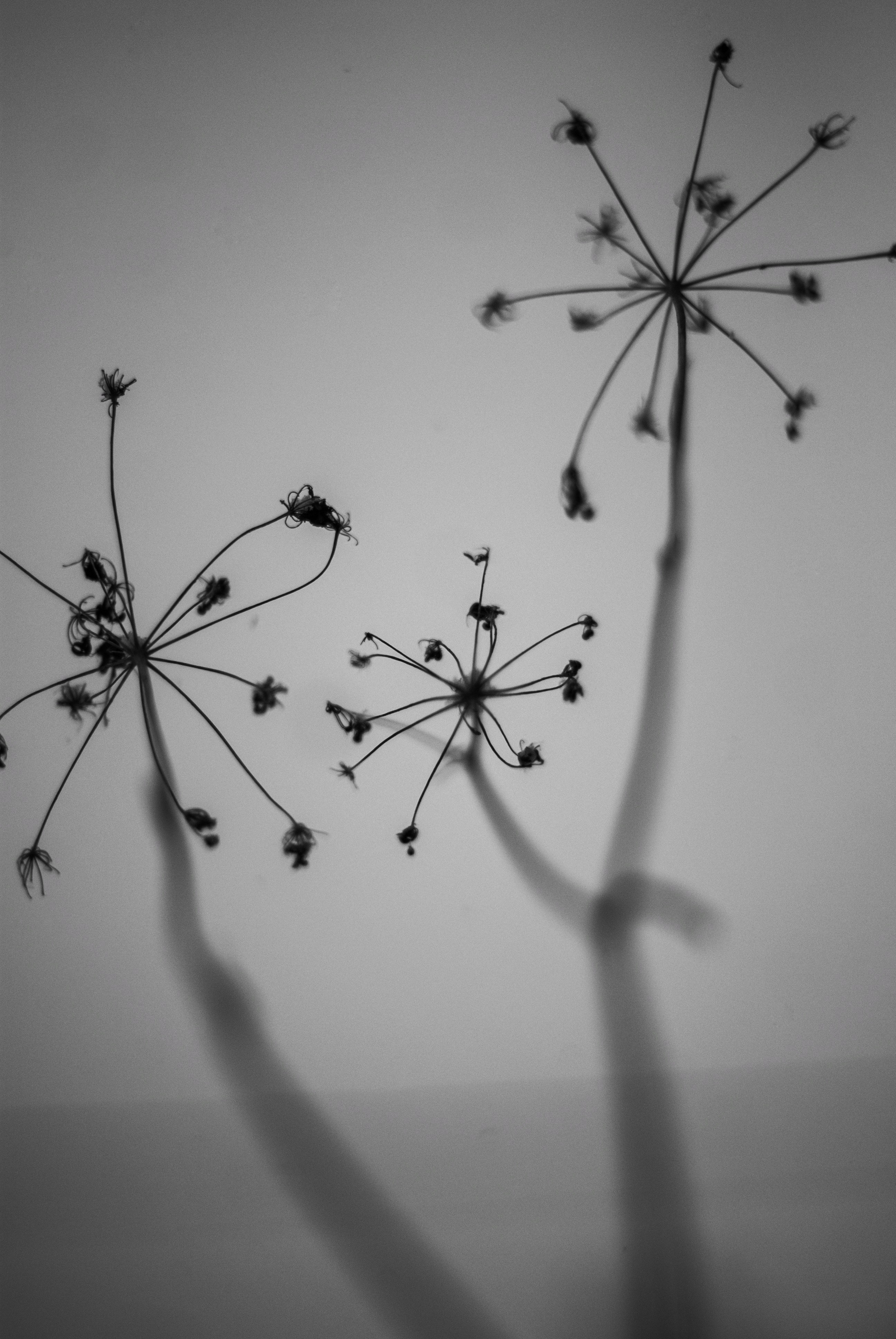 Внутривенные сны (2018-2023)