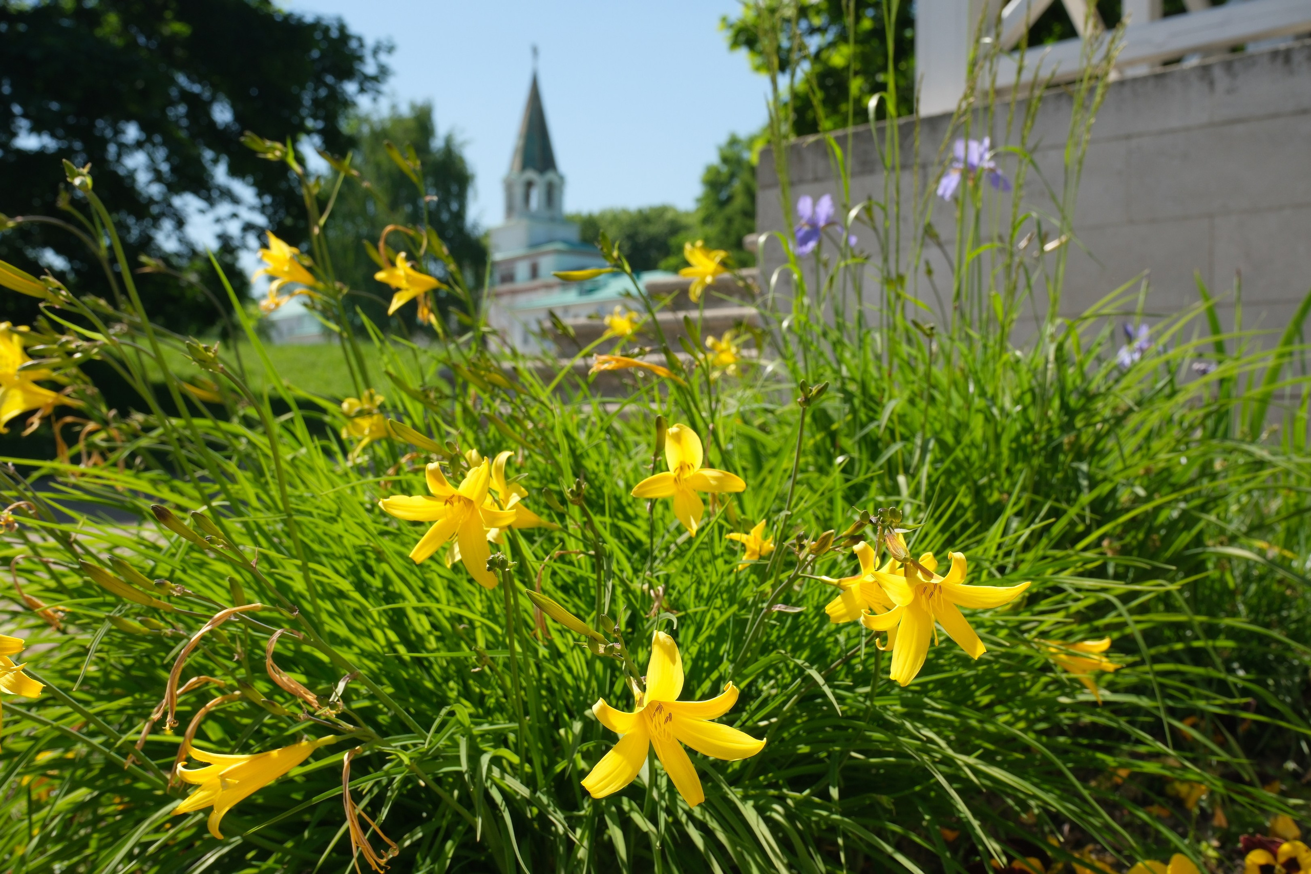 Коломенское 2024. Улица, люди, жизнь…