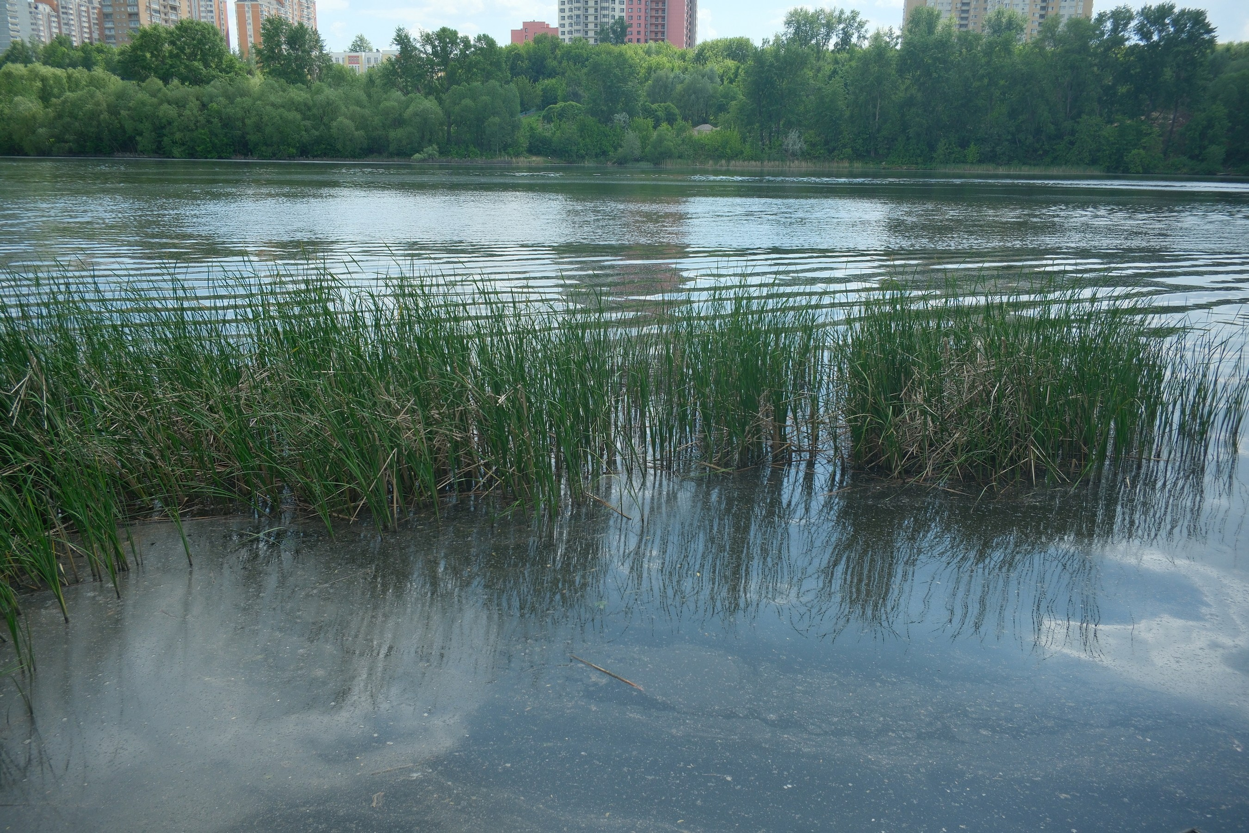 Парк 850 лет Москве. Снято на Voigtlander 18/2,8 Color-scopar. Улица, люди, жизнь…