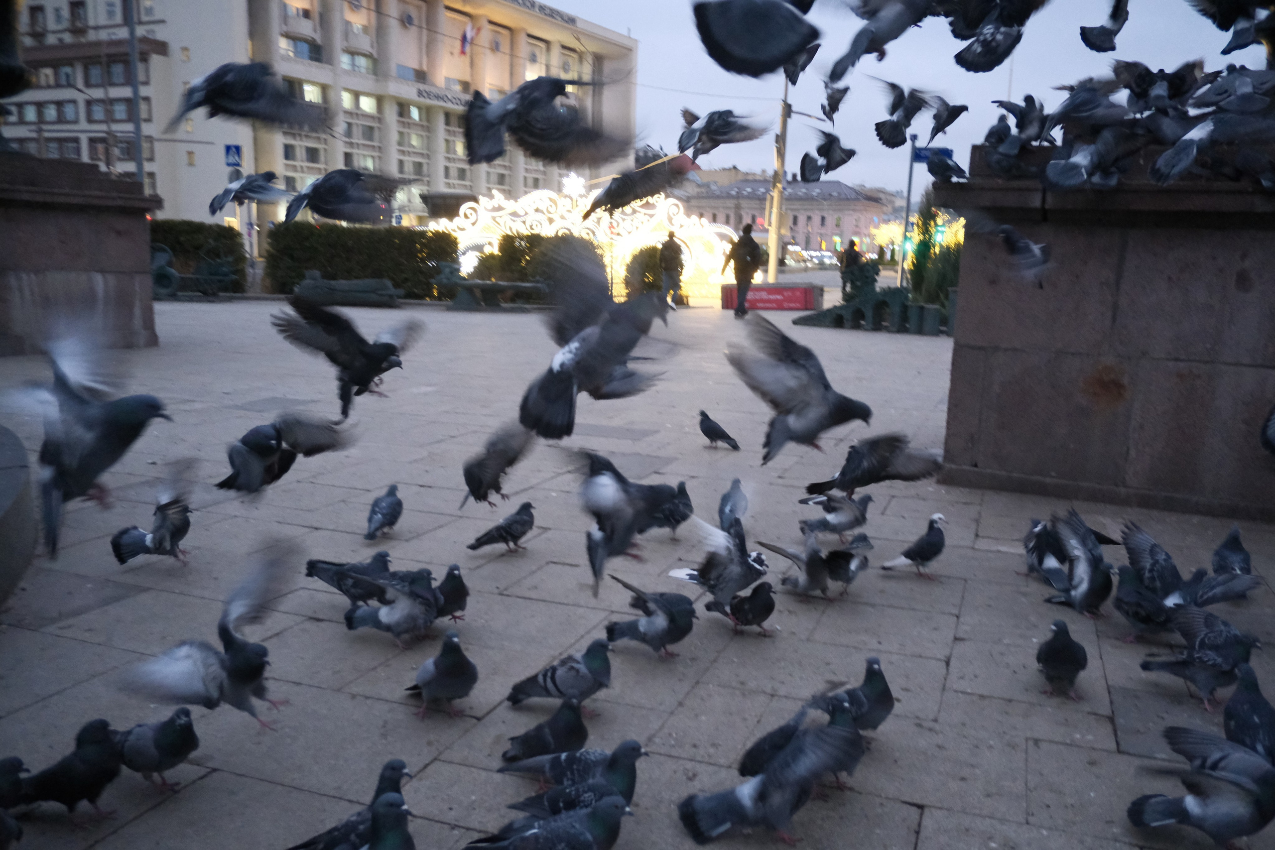 Вечерний город. Улица, люди, жизнь…