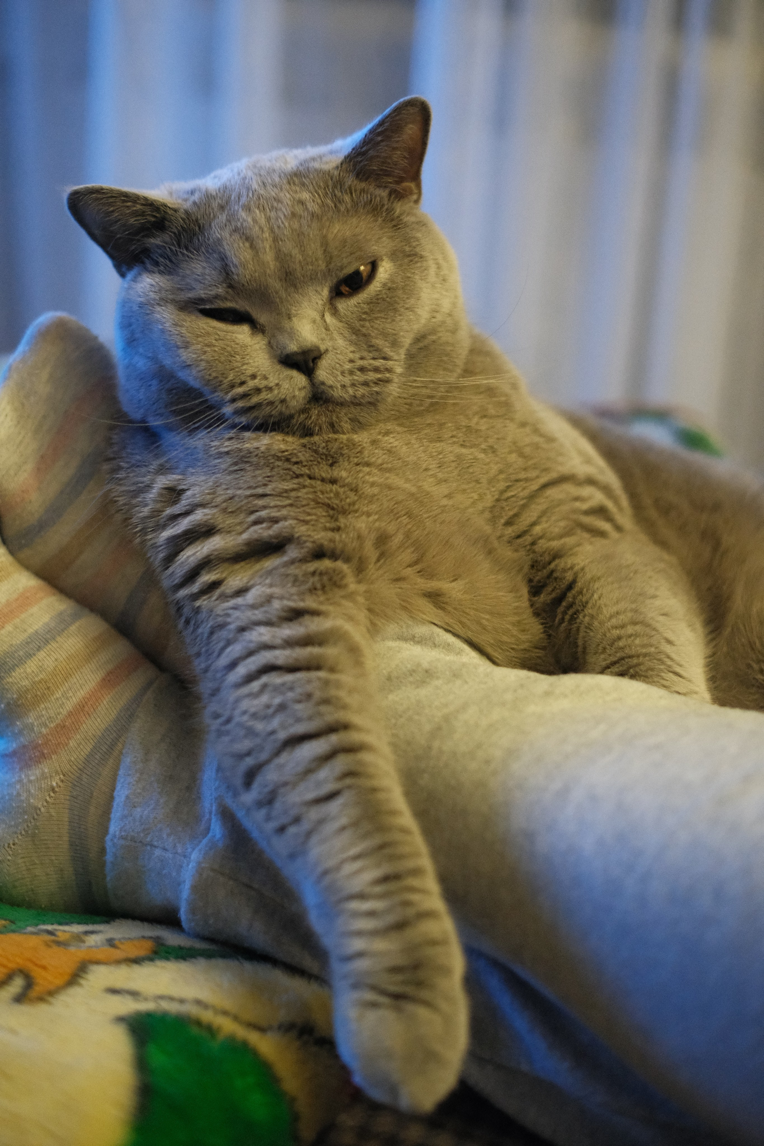 Улица, люди, жизнь…