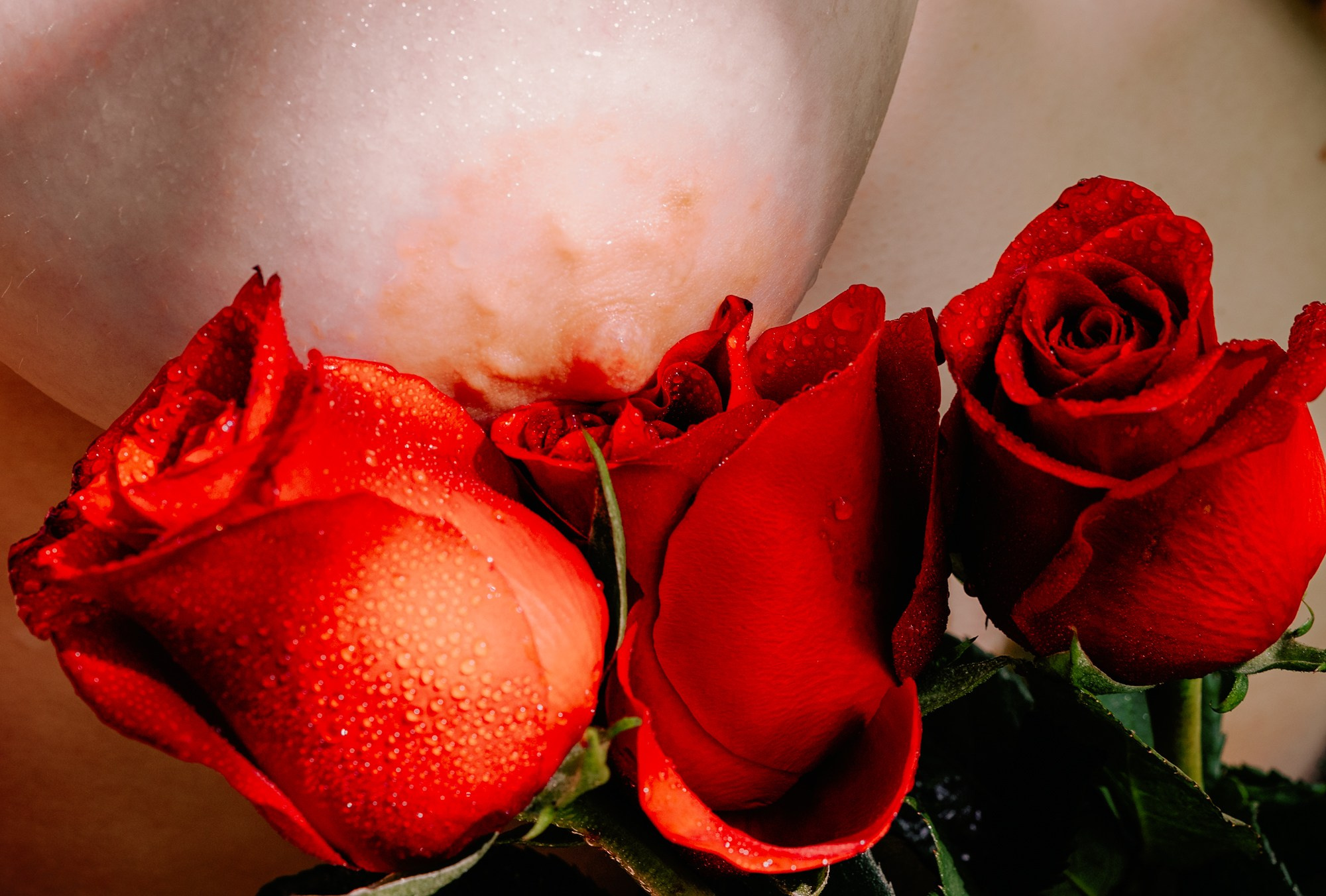 Кэт. В парке Лесоводов. Фотограф