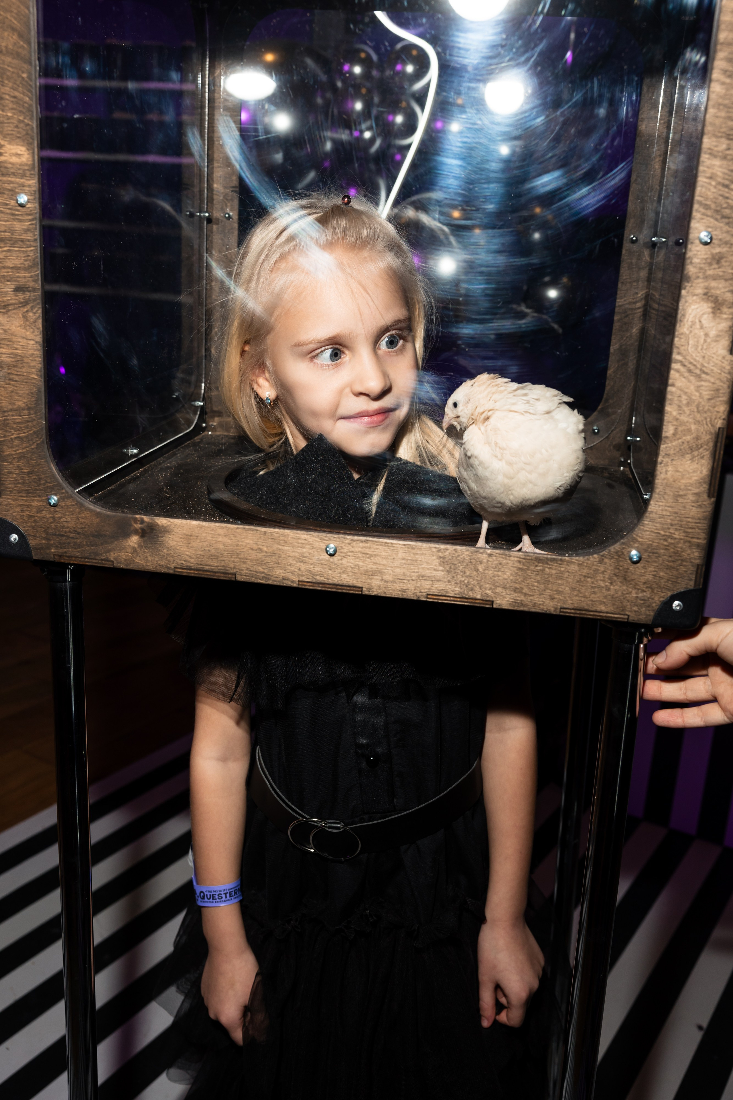 Дом Чудес Арианны. ФОТОГРАФ ВАШИХ ЛУЧШИХ СОБЫТИЙ