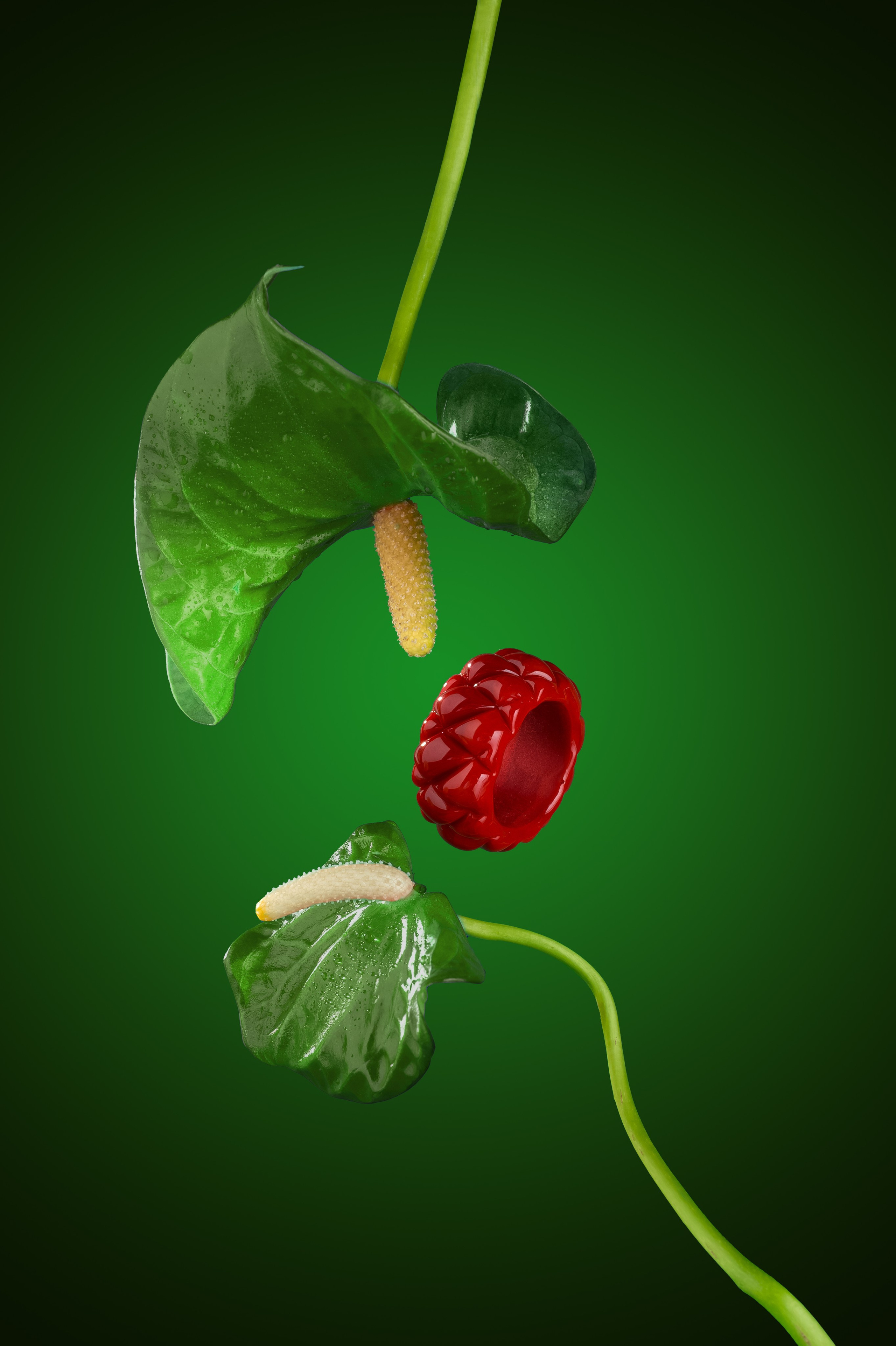 Jewelry. Рекламный, предметный и фудфотограф г. Иркутск