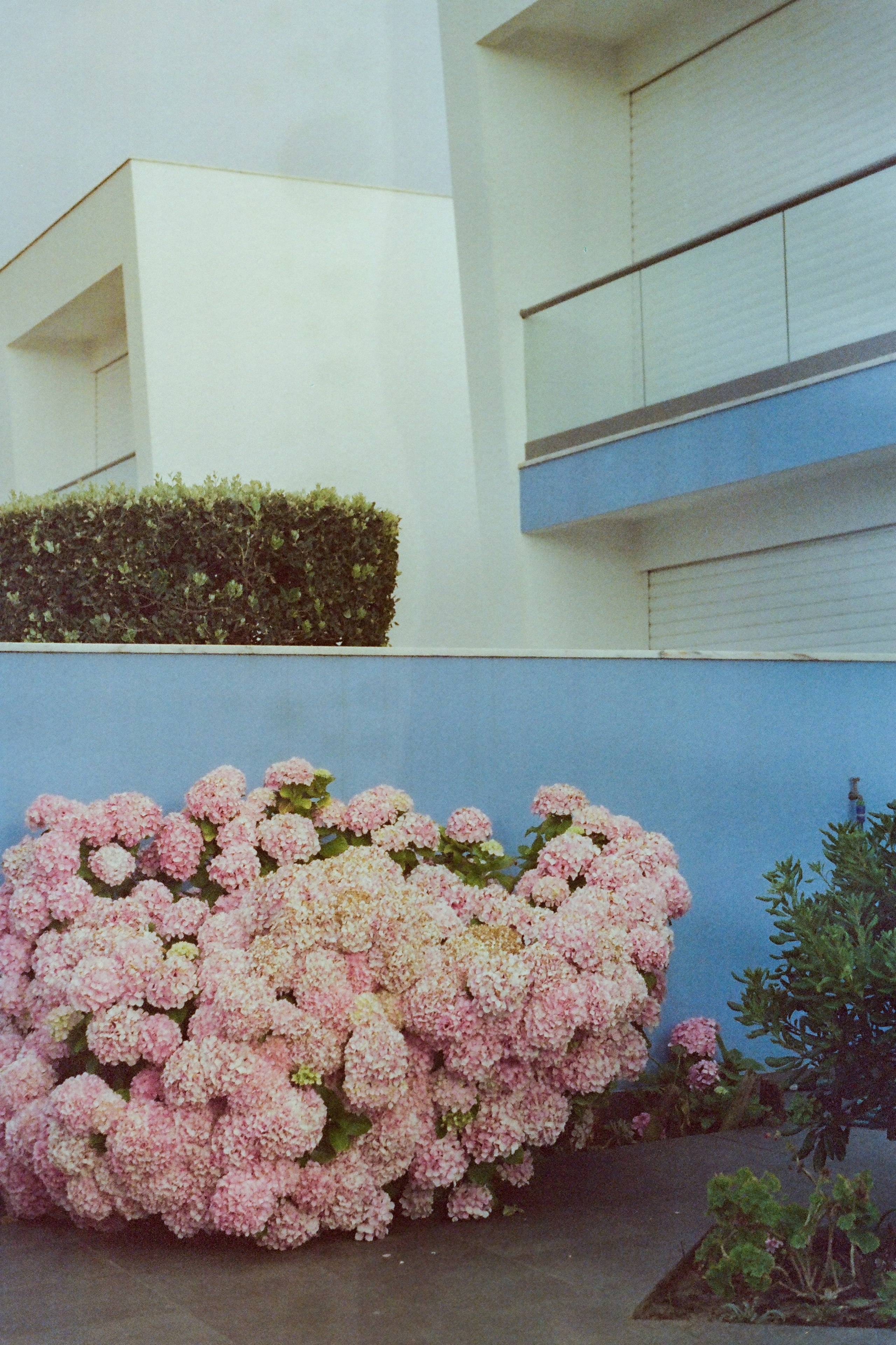 Film photos. Creative travel photographer — Berg Daria