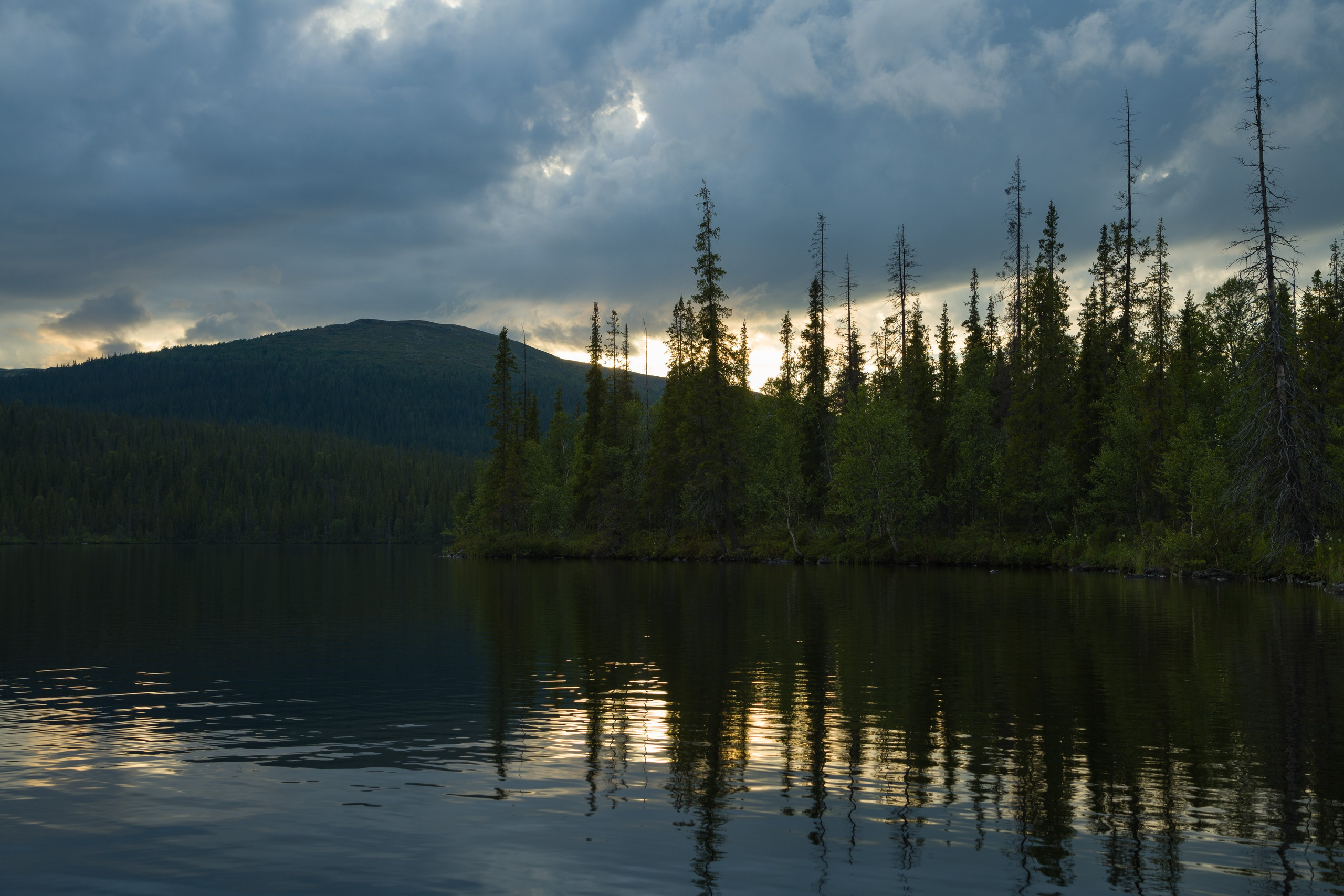 Лапландский заповедник. Northern Nights