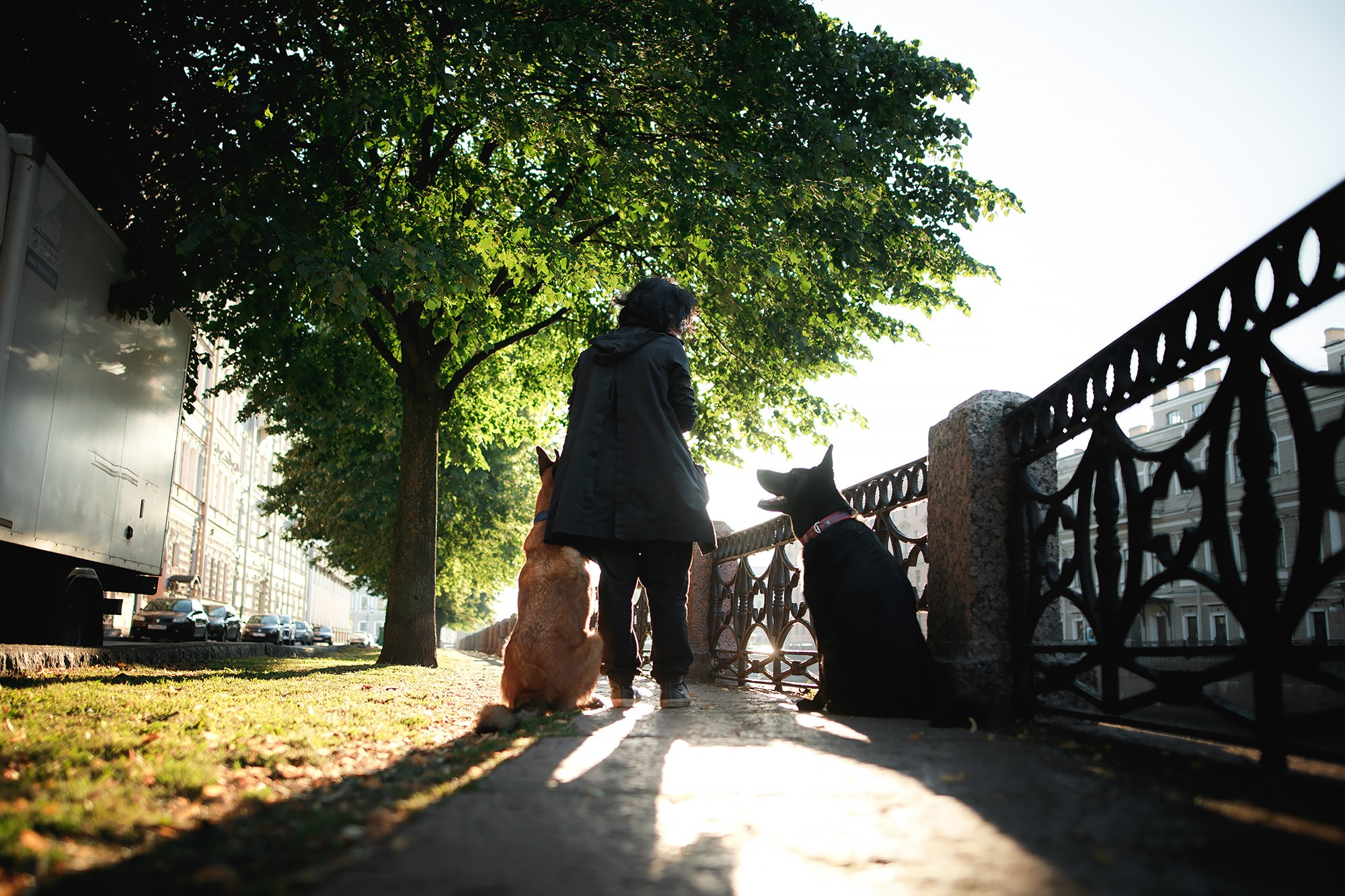 Алена, Кай и Мара. Фотограф-анималист Mary Mart — Москва, Питер