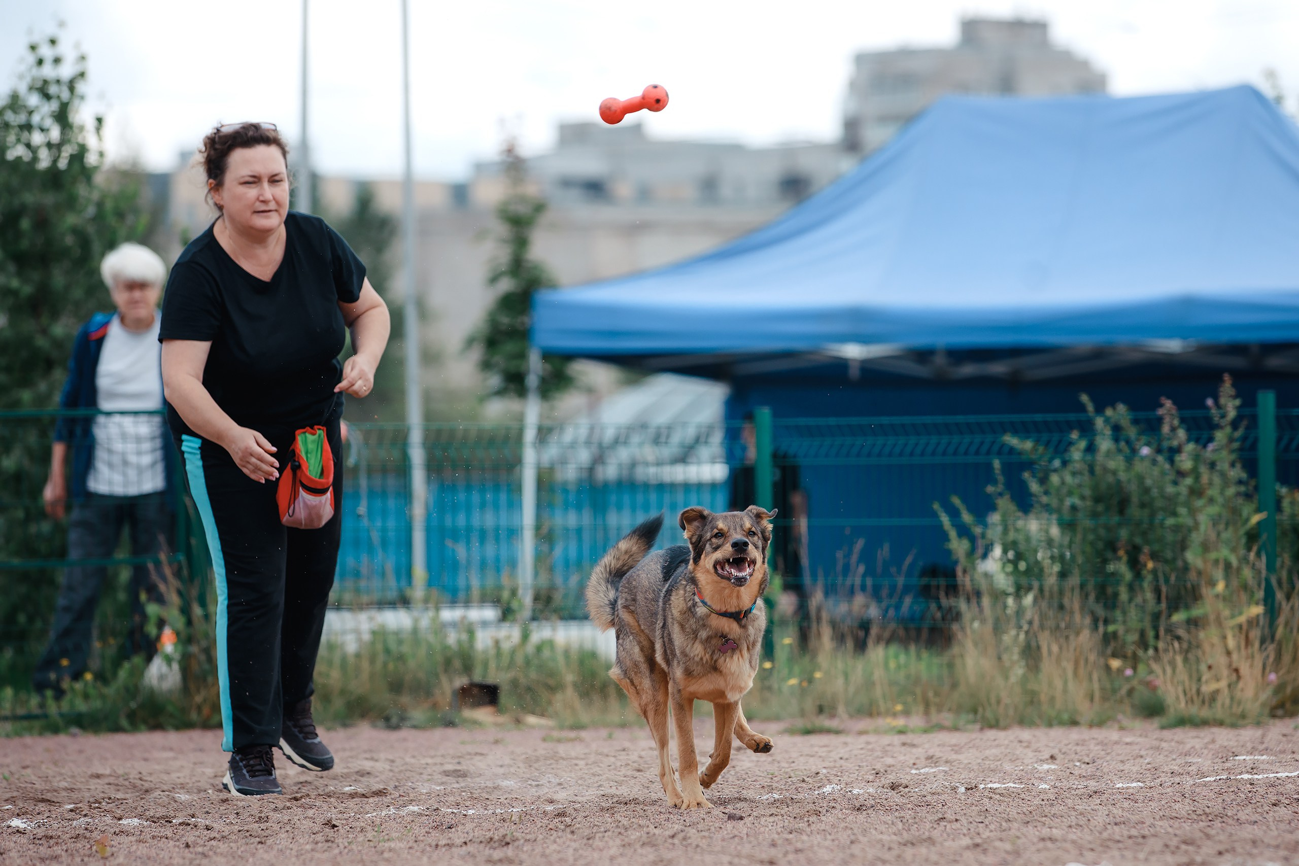 Питч&Гоу + веселые старты. Фотограф-анималист Mary Mart — Москва, Питер