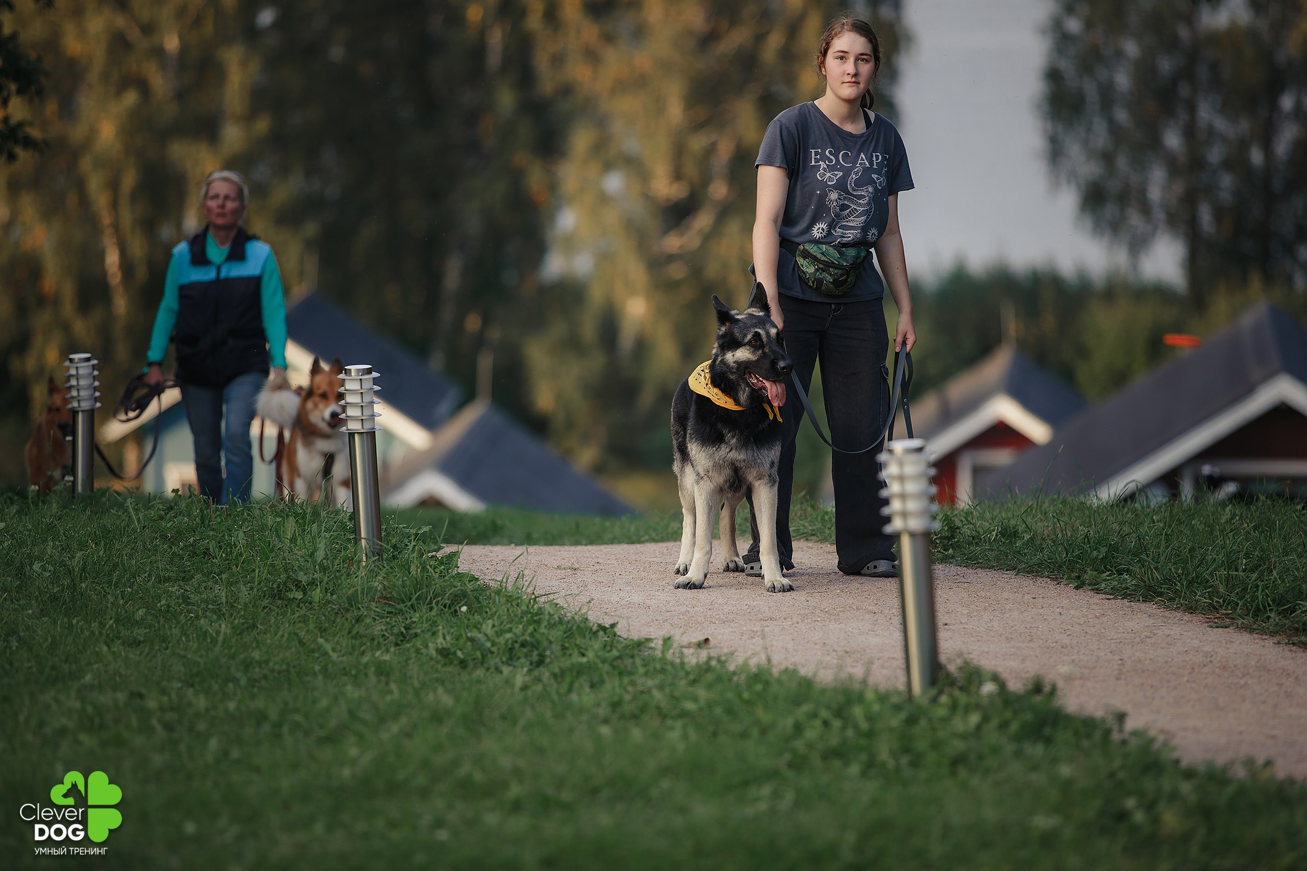 Кинологический лагерь CleverDog, 2024. Фотограф-анималист Mary Mart — Москва, Питер