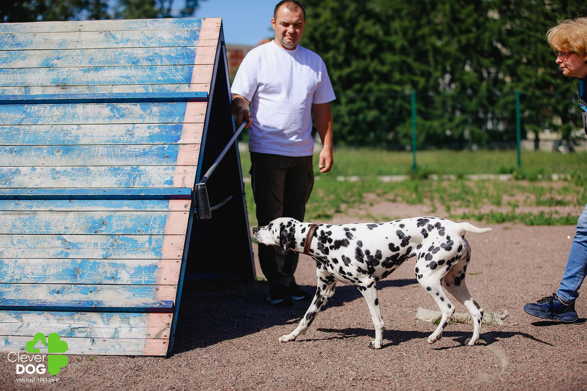 Семинар по поиску запаха с Иваном Ломовым, организатор CleverDog, СПб. Фотограф-анималист Mary Mart — Москва, Питер