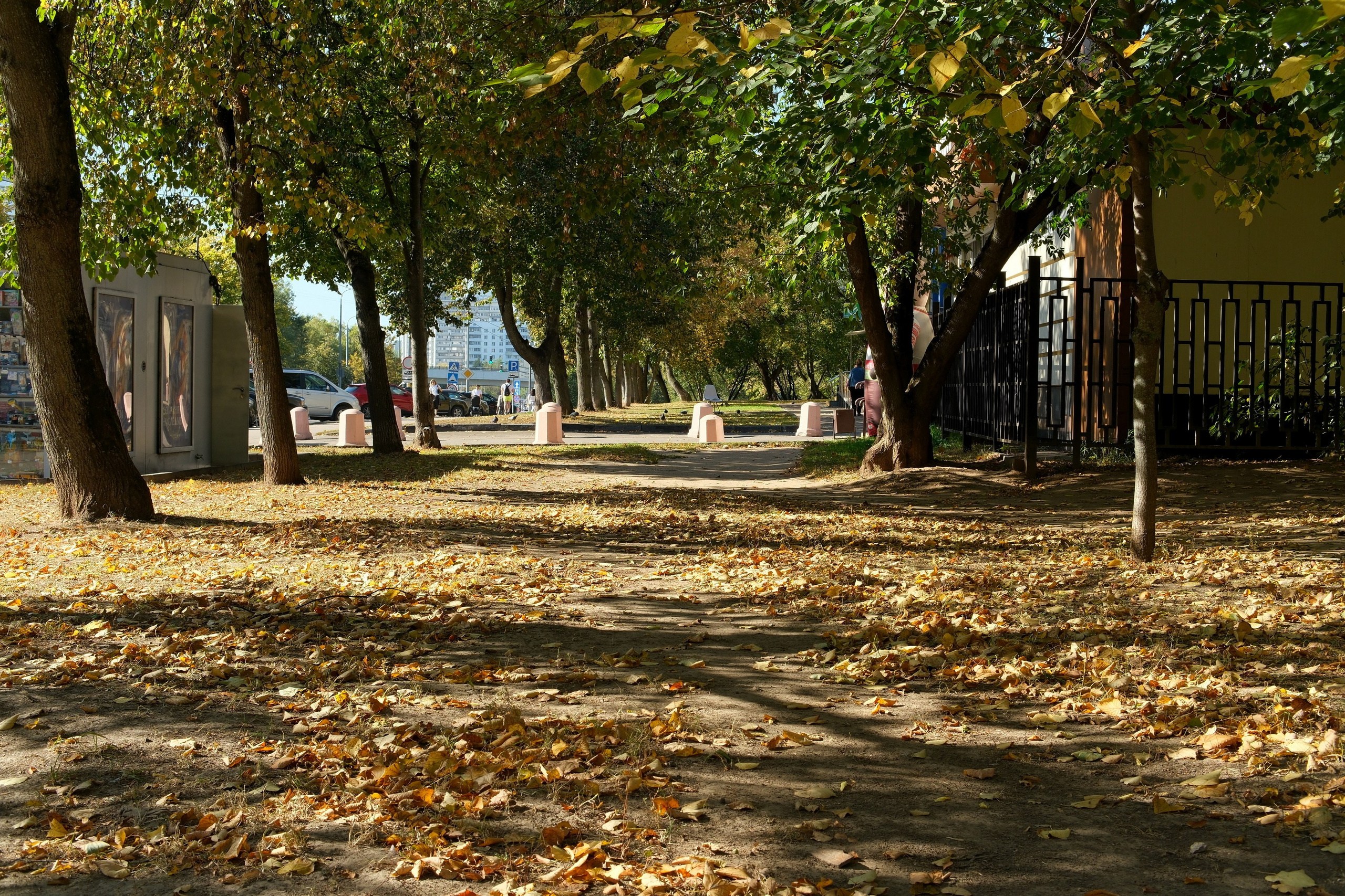 Сентябрь 2025. Улица, люди, жизнь…