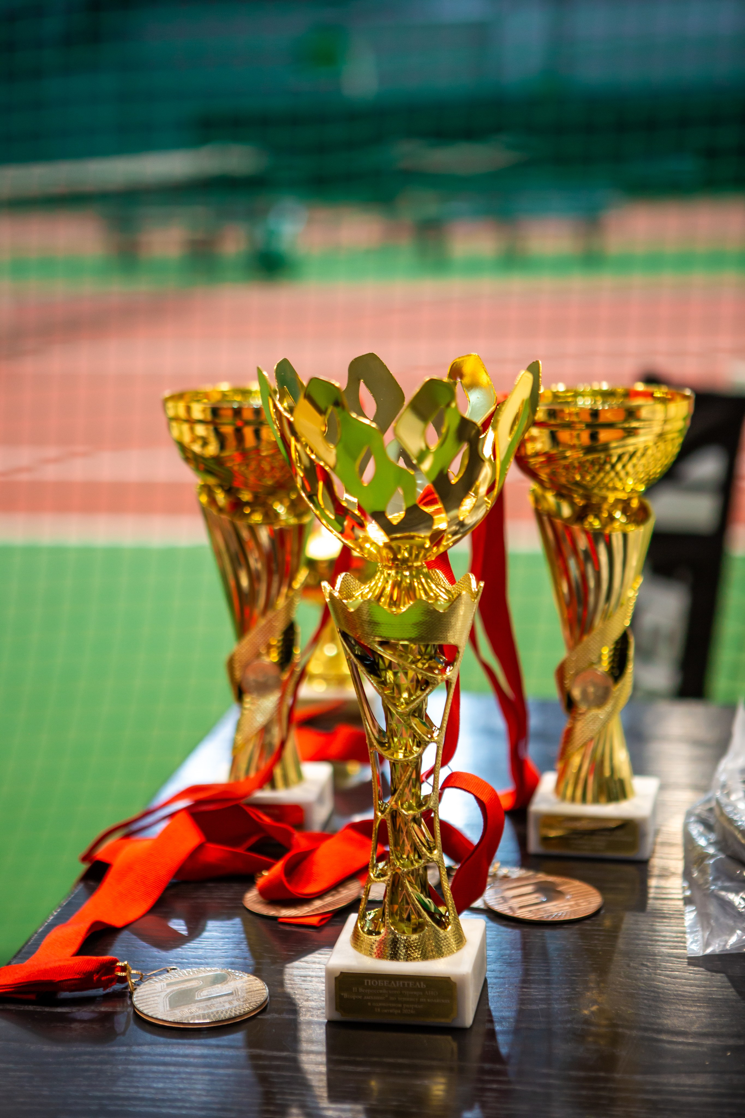 Турнир по теннису на колясках. Репортажный, семейный, свадебный, портретный фотограф