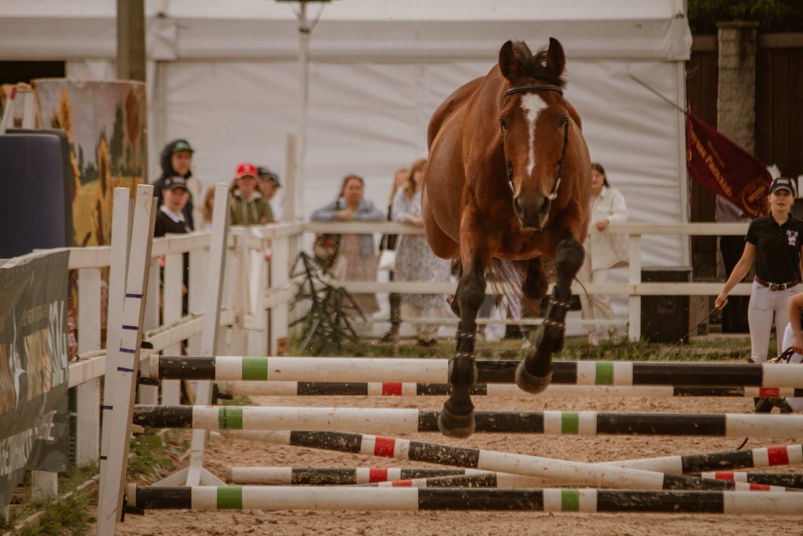 ИППОСФЕРА — Международная конная выставка. Создадим шедевр? Виталина и её фотоискусство