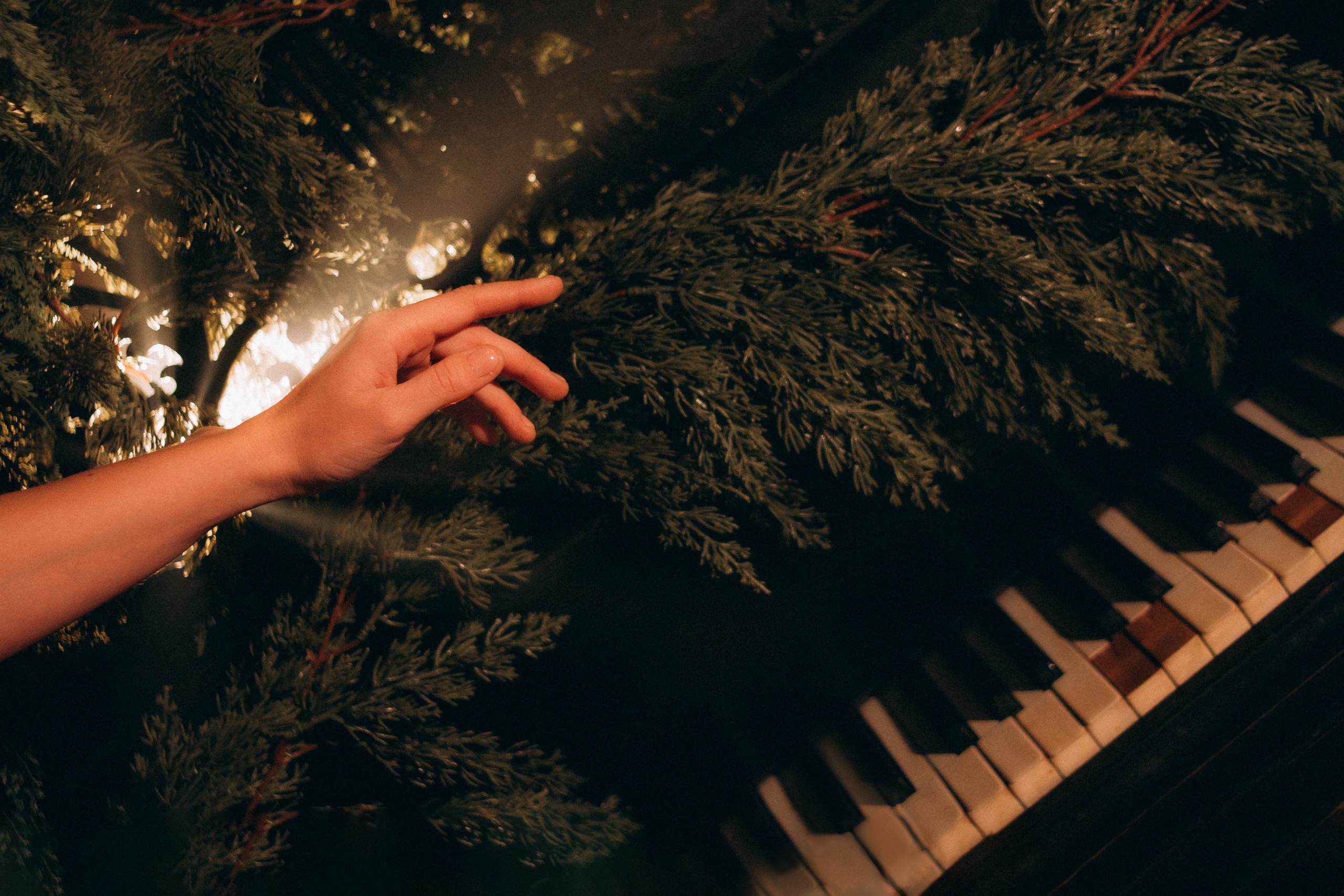 Главное украшение. Создадим шедевр? Виталина и её фотоискусство