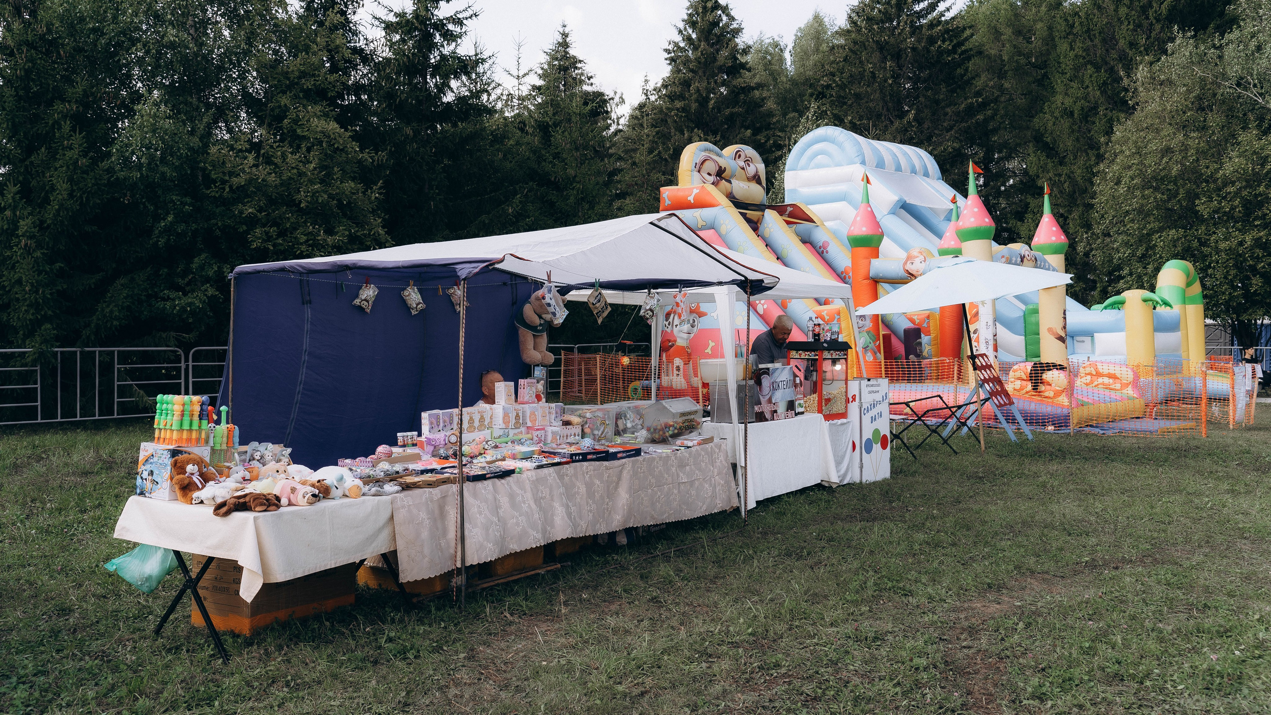 День Коня. Алиса Никитцова | Фотограф в Казани