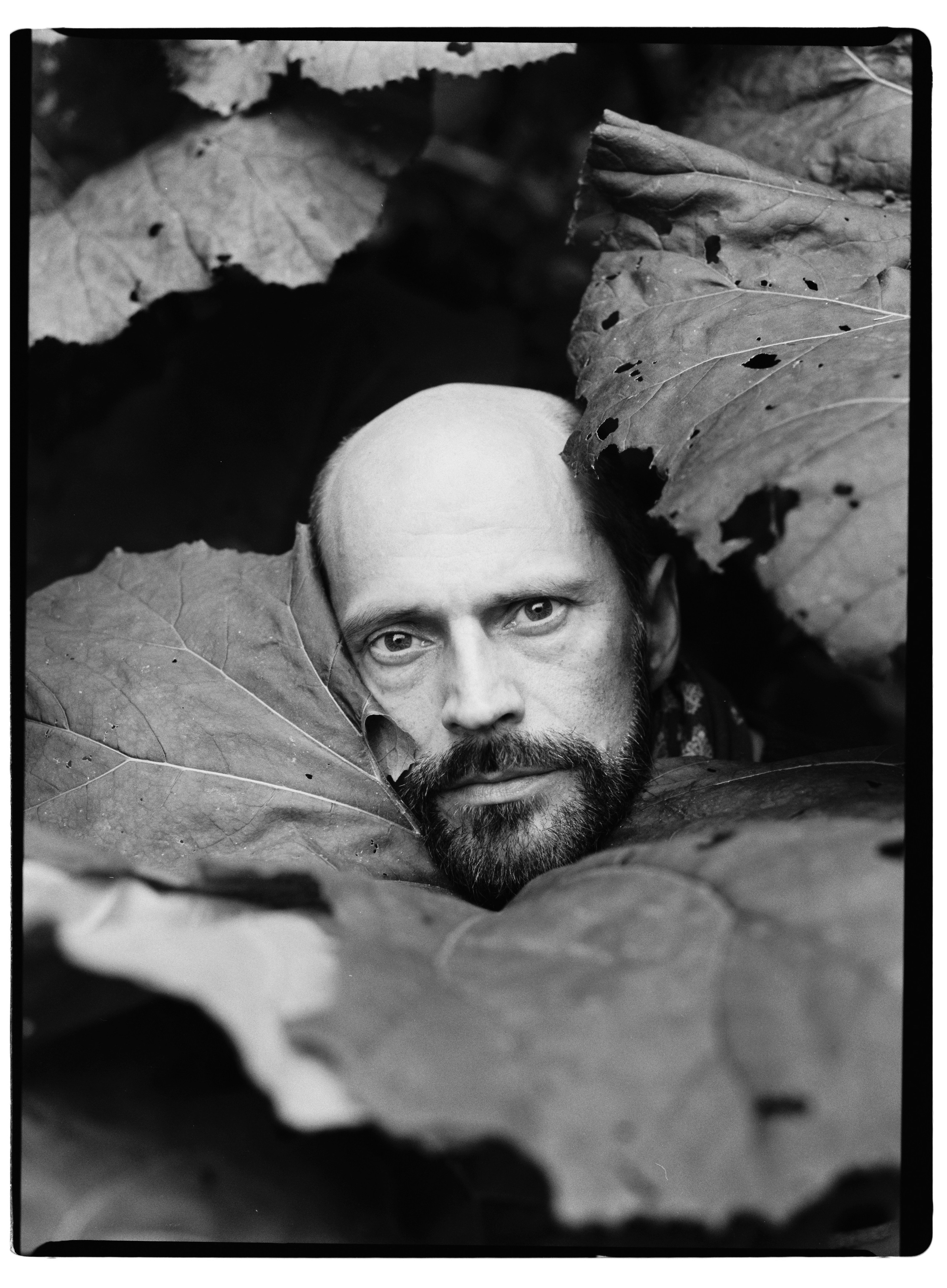 Film photos. VLAD TKACHISHIN