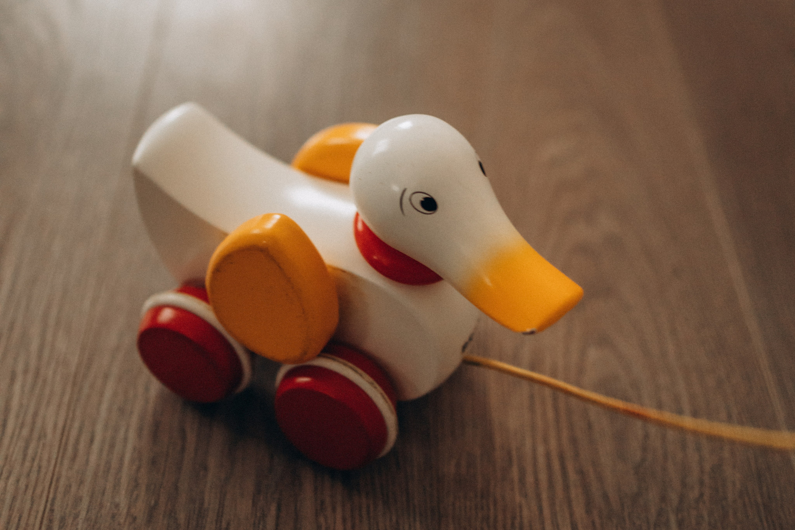 Домашние. Семейный и женский фотограф в Москве Коновалова Олеся