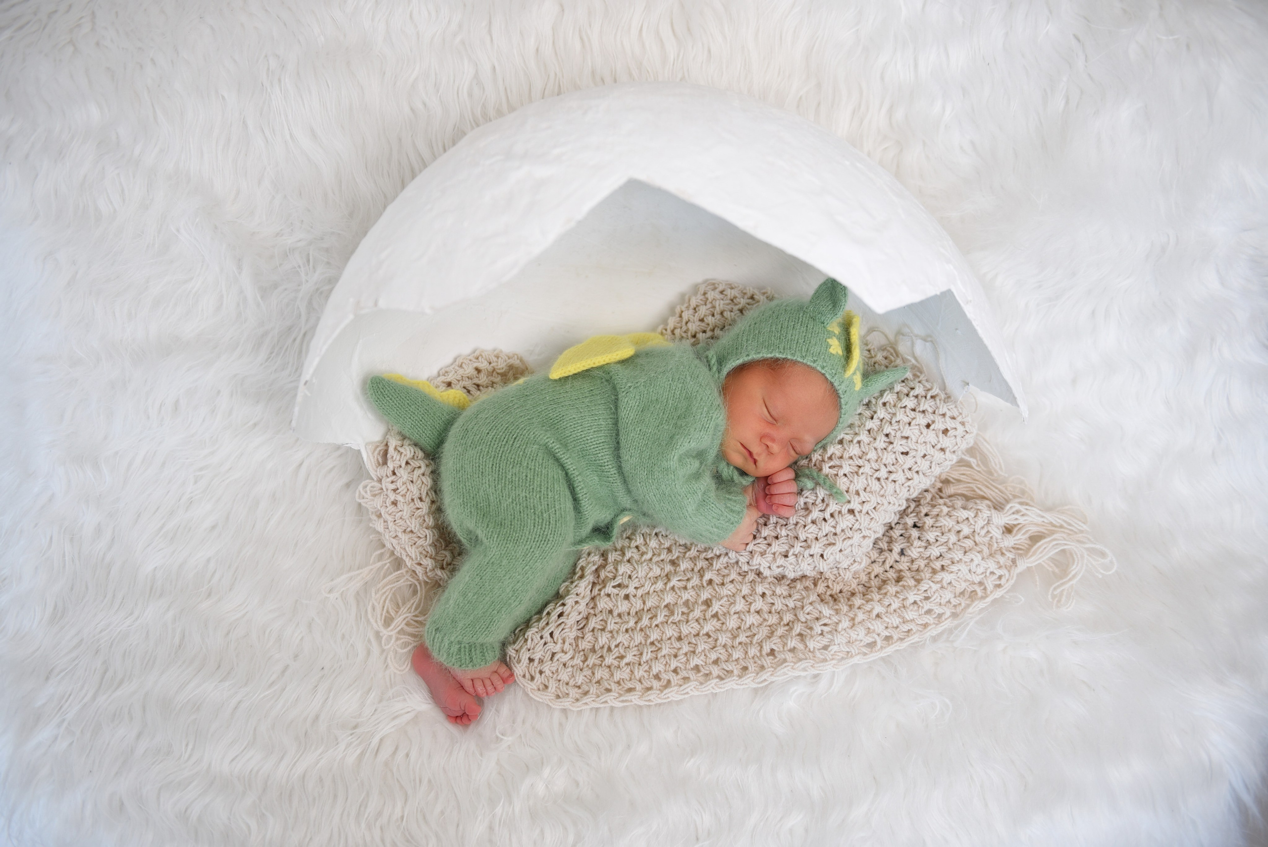 Артем-динозаврик. Семейный, детский и школьный фотограф в Димитровграде Наумова Екатерина