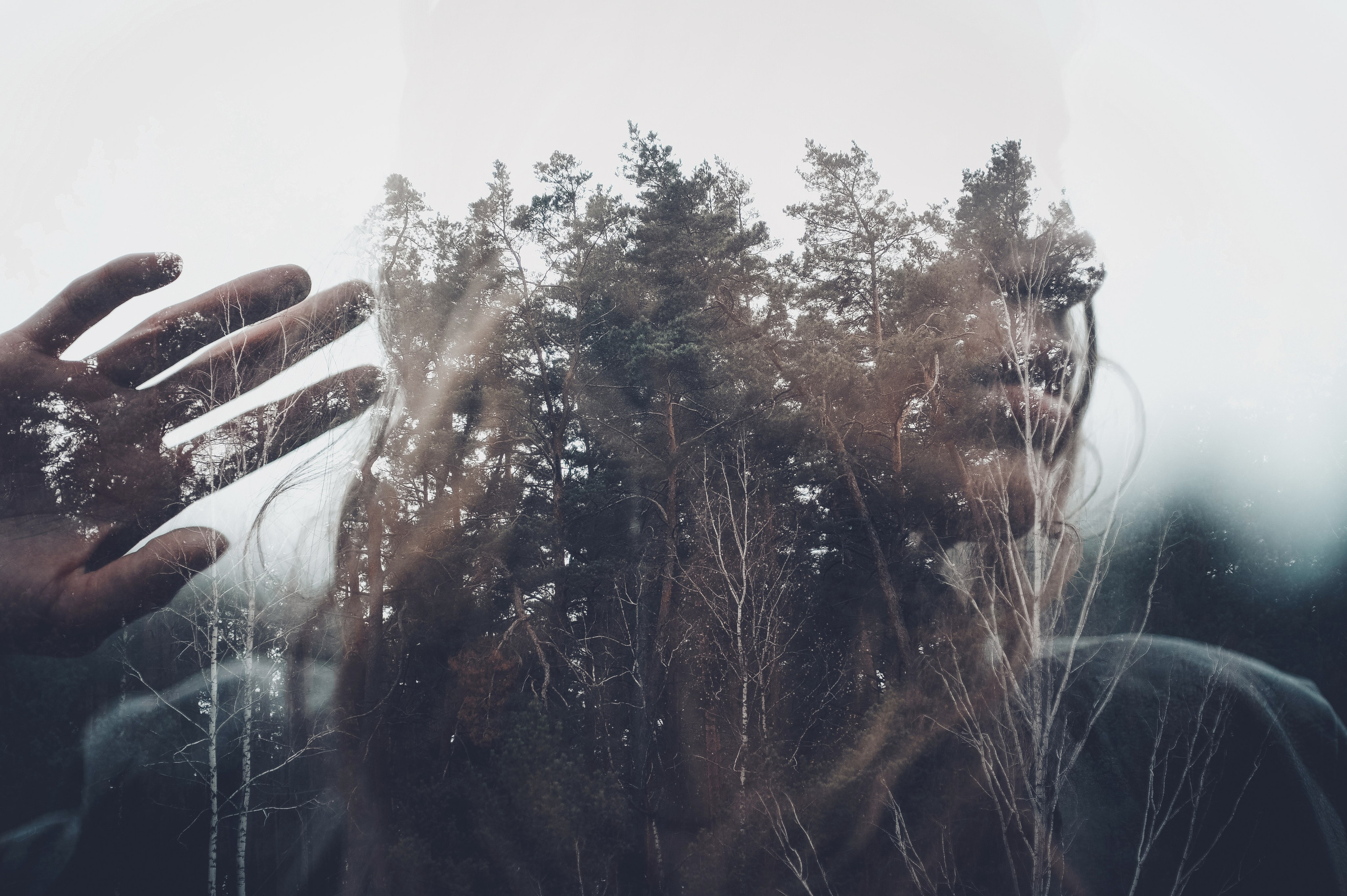 PORTRAIT. Анна Ульянова