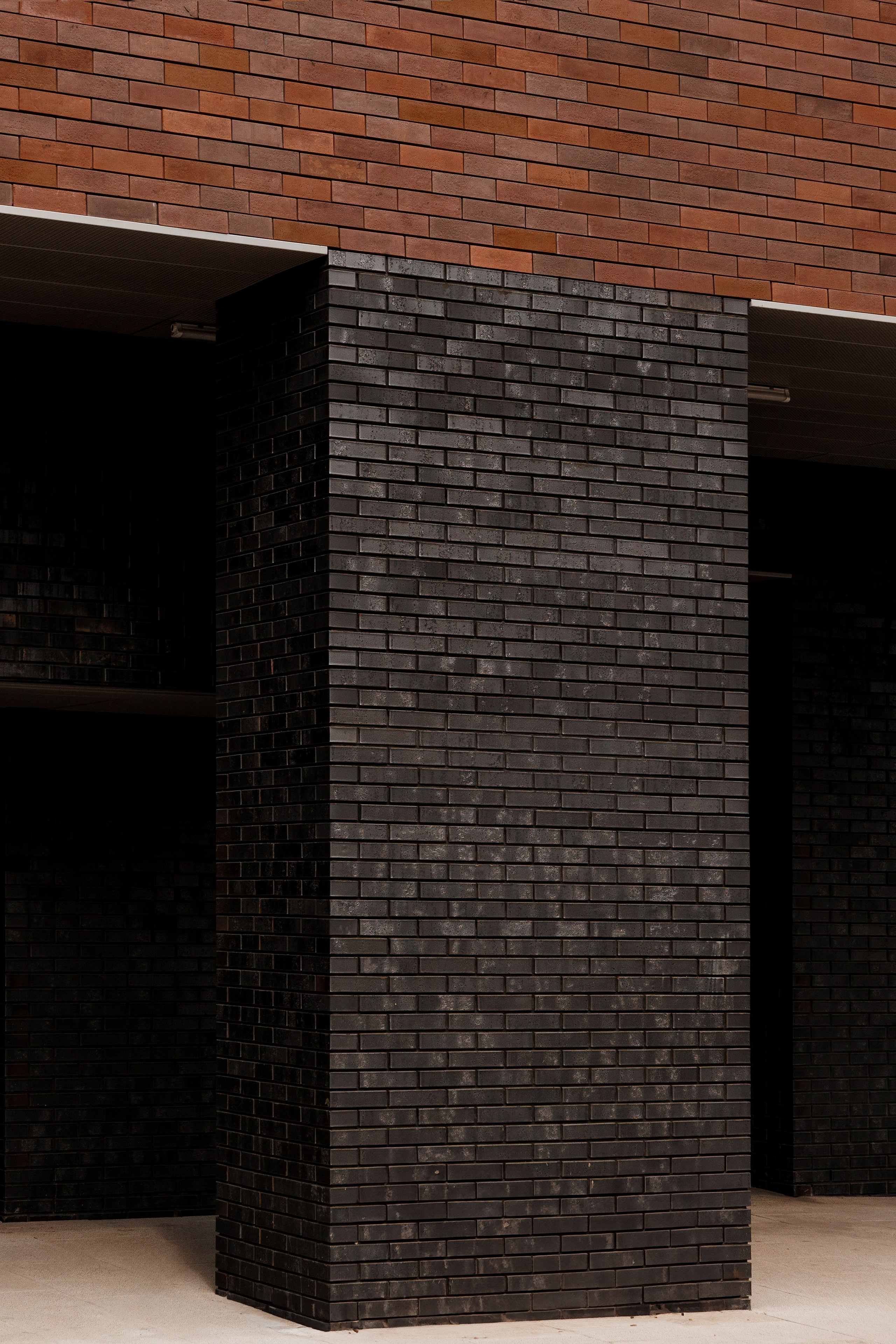 РЕНОВАЦИЯ — РУСАКОВА. АЛТ Портфолио