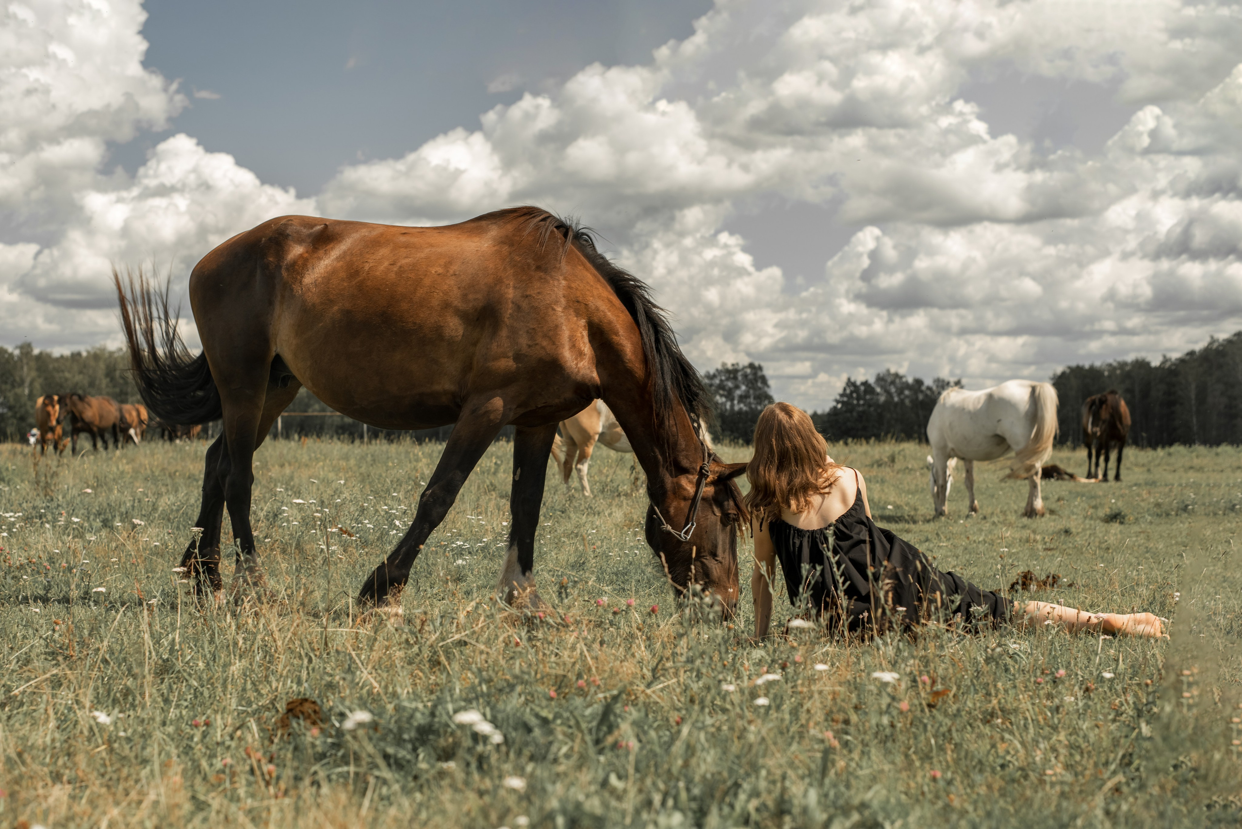 Семейный фотограф Екатерина Шаманаева