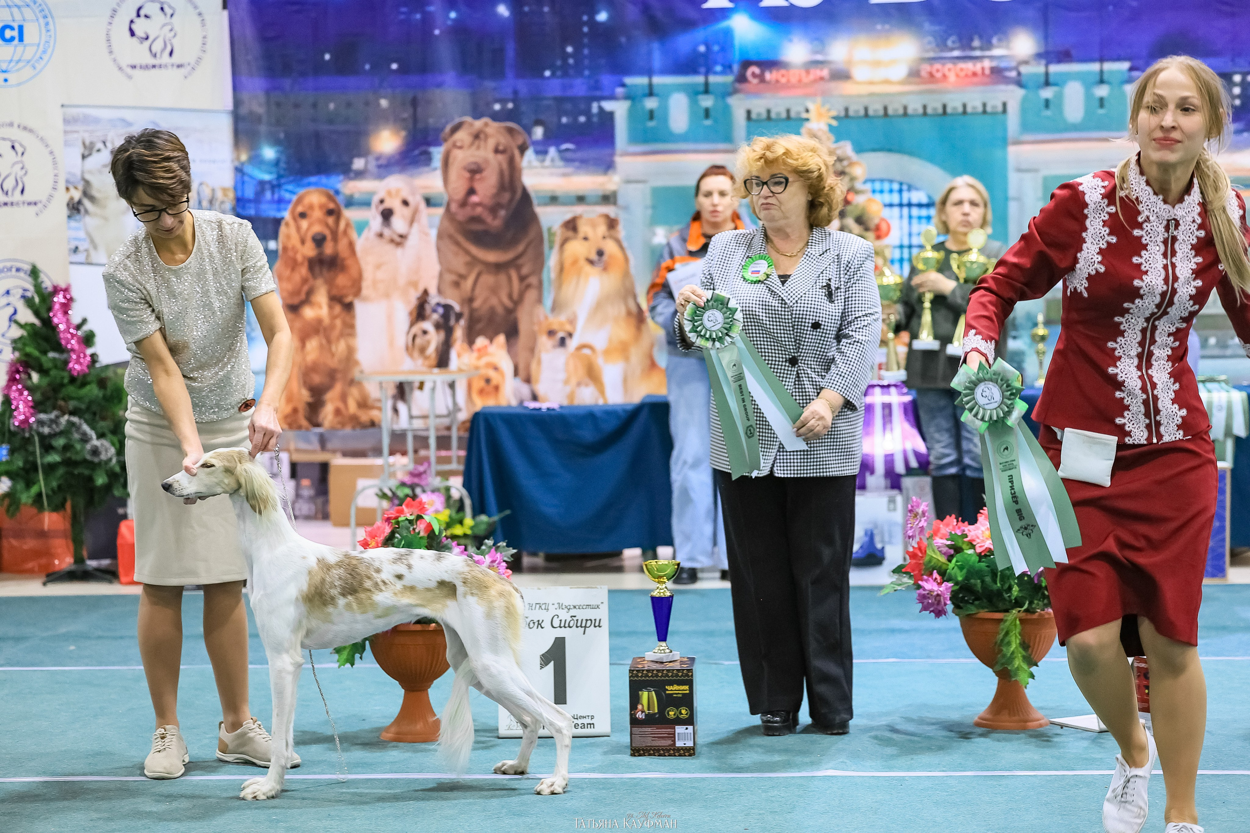 6-7.12.25 — 1-4 Национальные выставки собак в Новосибирске (2х рейтинговые). Фотограф Анималист из Новосибирска Татьяна Кауфман