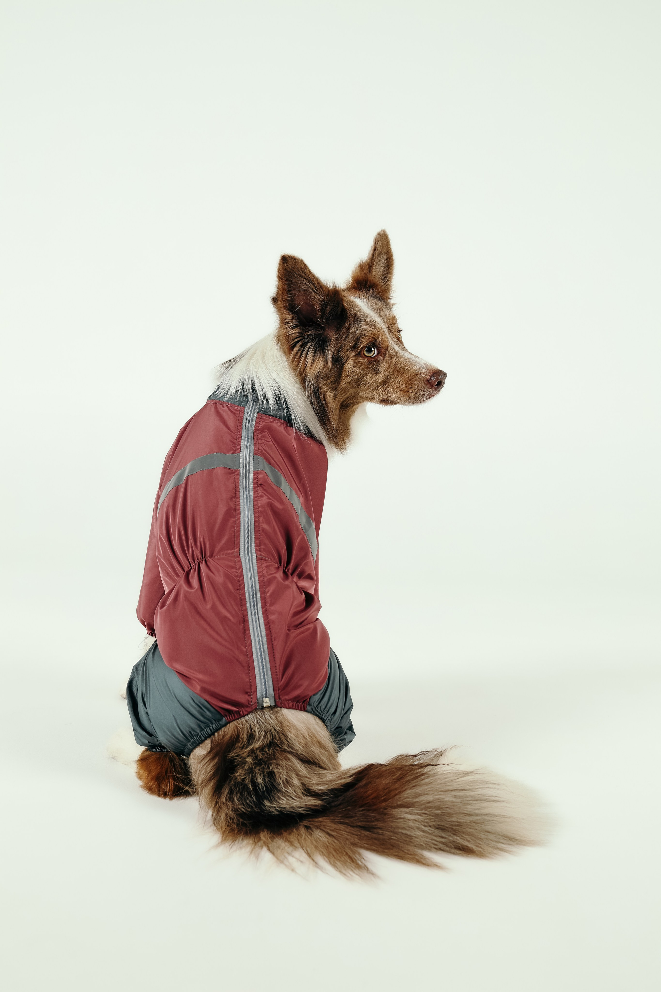 Для брендов. Фотограф- анималист Санкт-Петербург