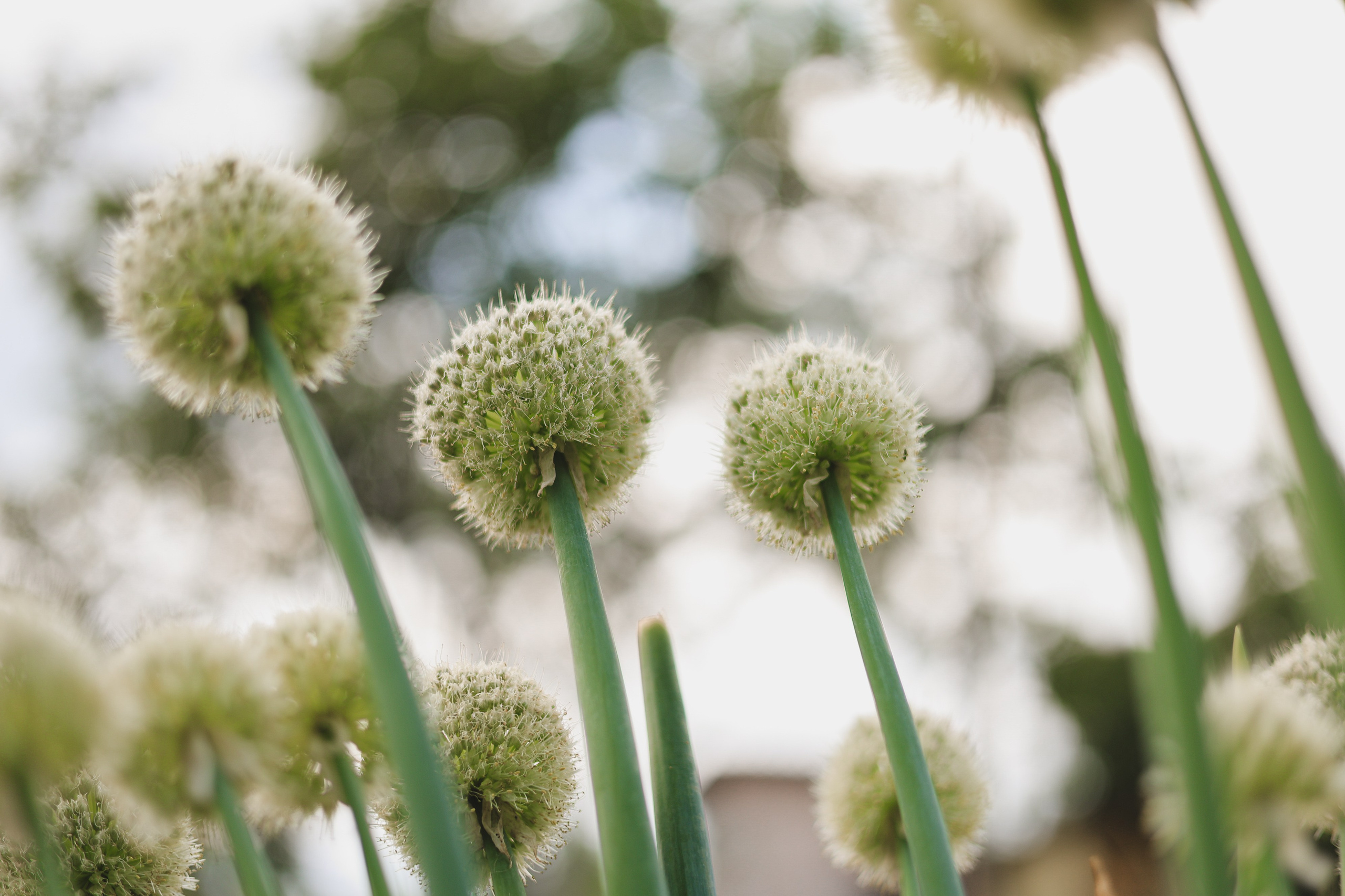 СТРИТ И ПРИРОДА. Репортажный фотограф Наталья Лапцевич