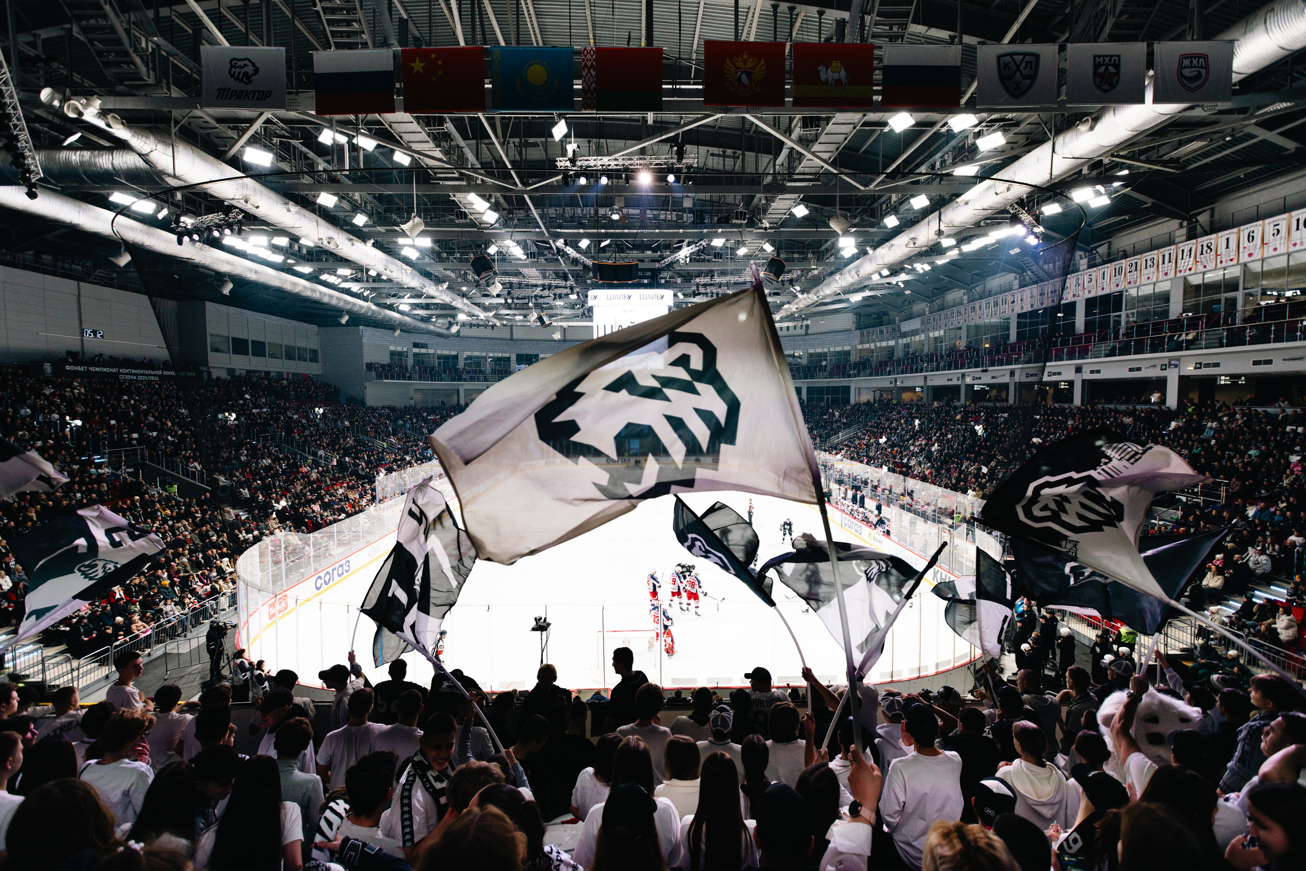 Алексей Потрехалов. Маскот хоккейного клуба «Трактор». Репортажный фотограф Наталья Лапцевич