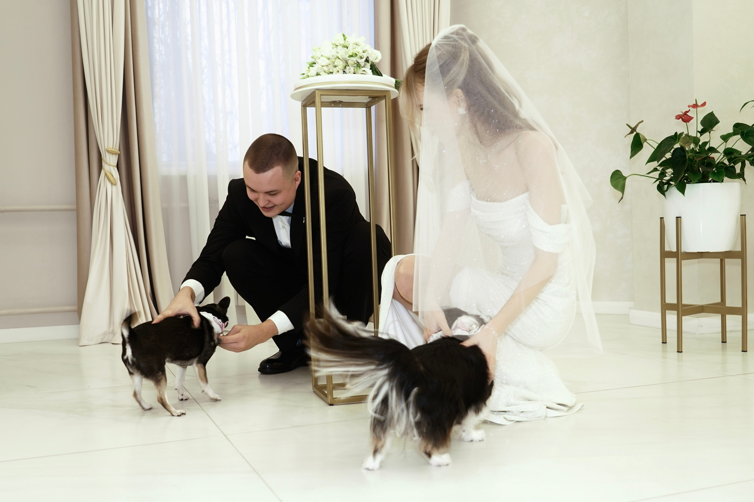 Регистрация в ЗАГСе + отель Бенедикт. Зеленоград. Анна, фотограф Москва, Зеленоград