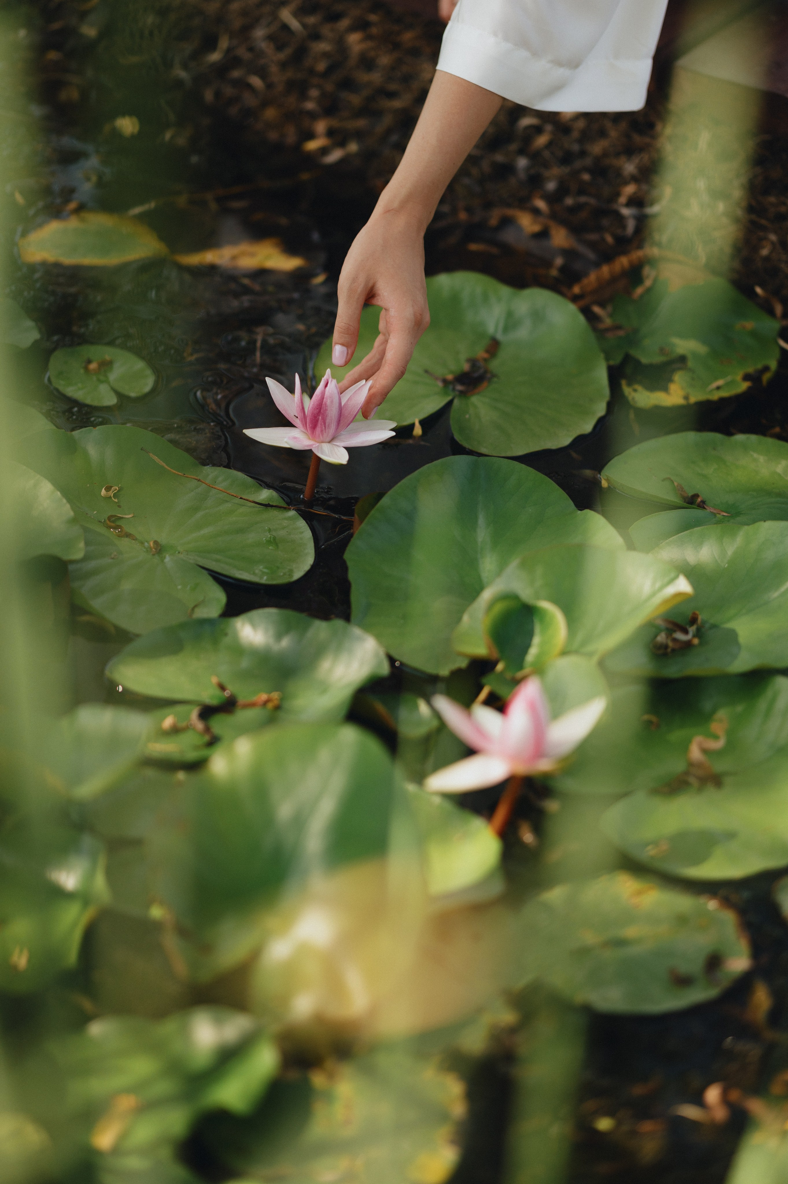 Богдан и Катя. Гольф клуб. Свадебный фотограф и видеограф