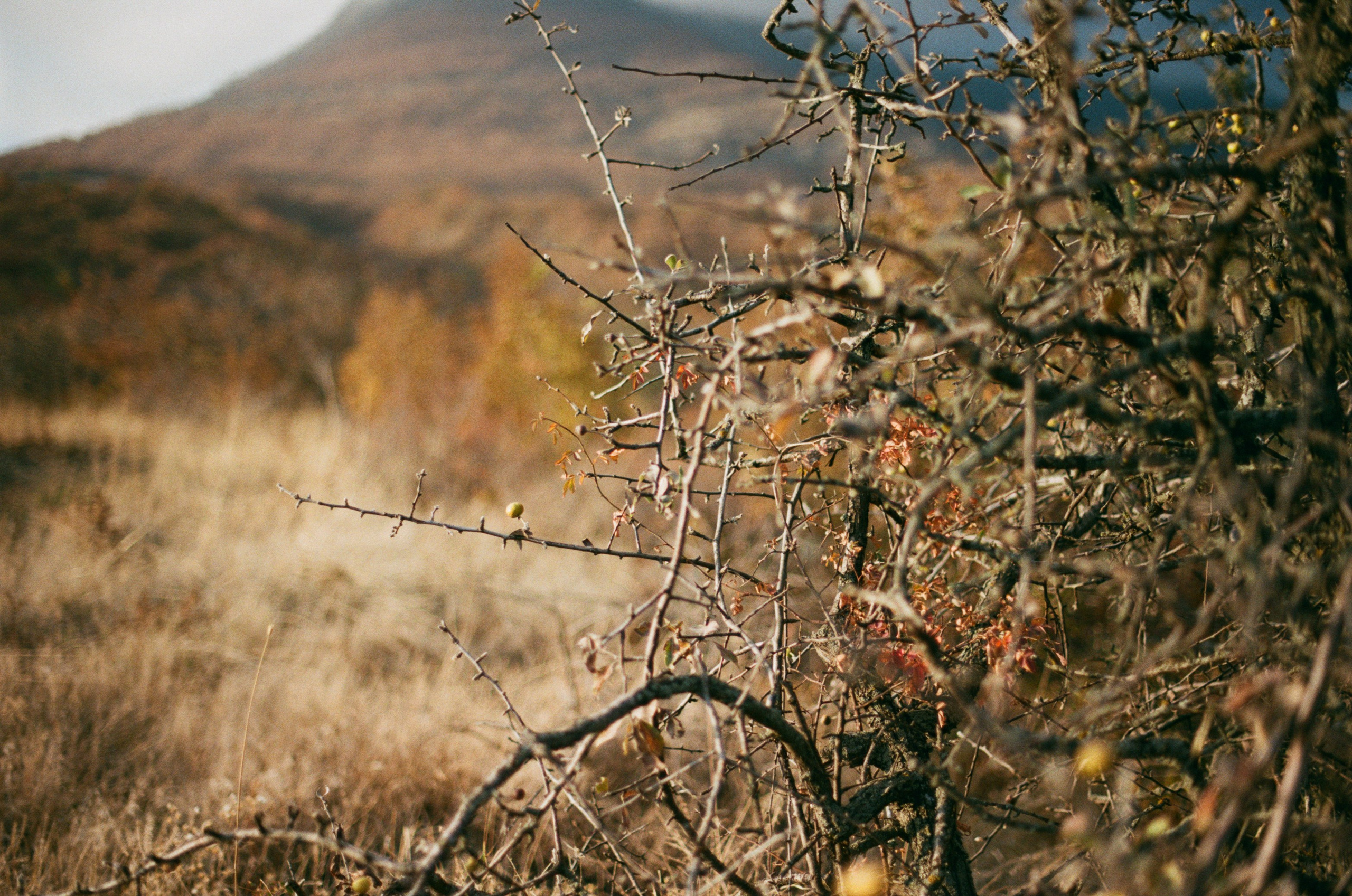 Wherever you will go // ukraine, crimea. EVER EXPOSED