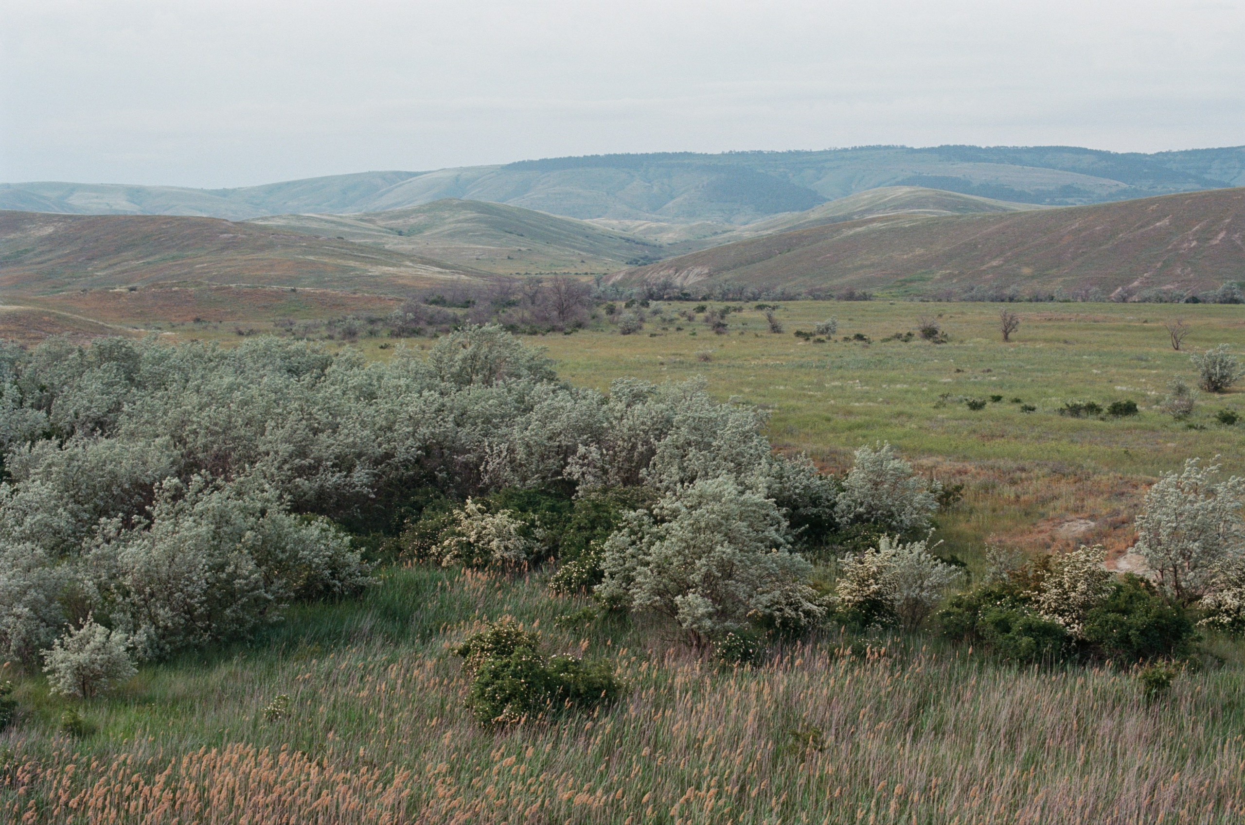 Champagne supernova // ukraine, crimea III. EVER EXPOSED
