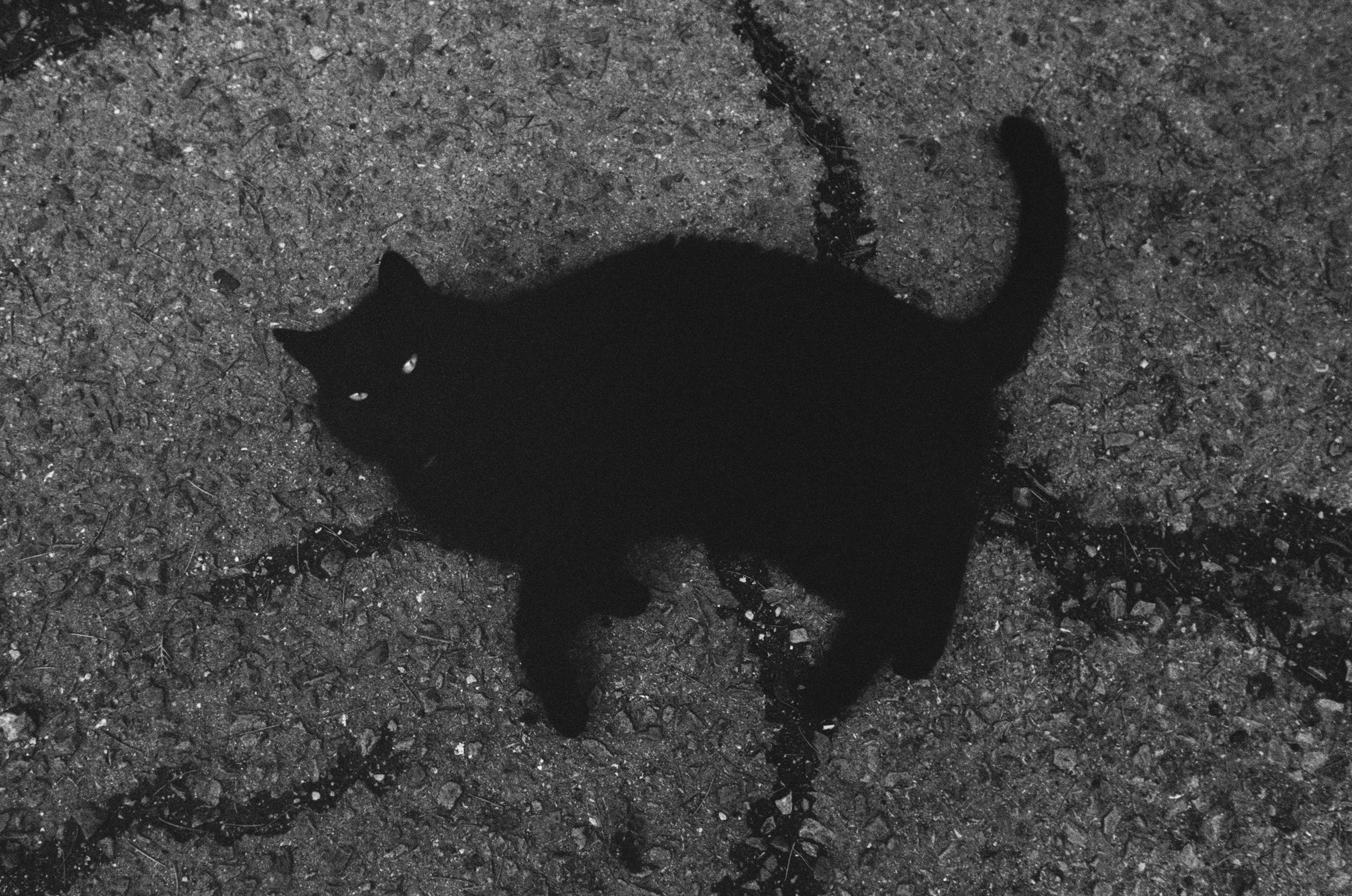 Oblomki chuvstv // ukraine, crimea. EVER EXPOSED