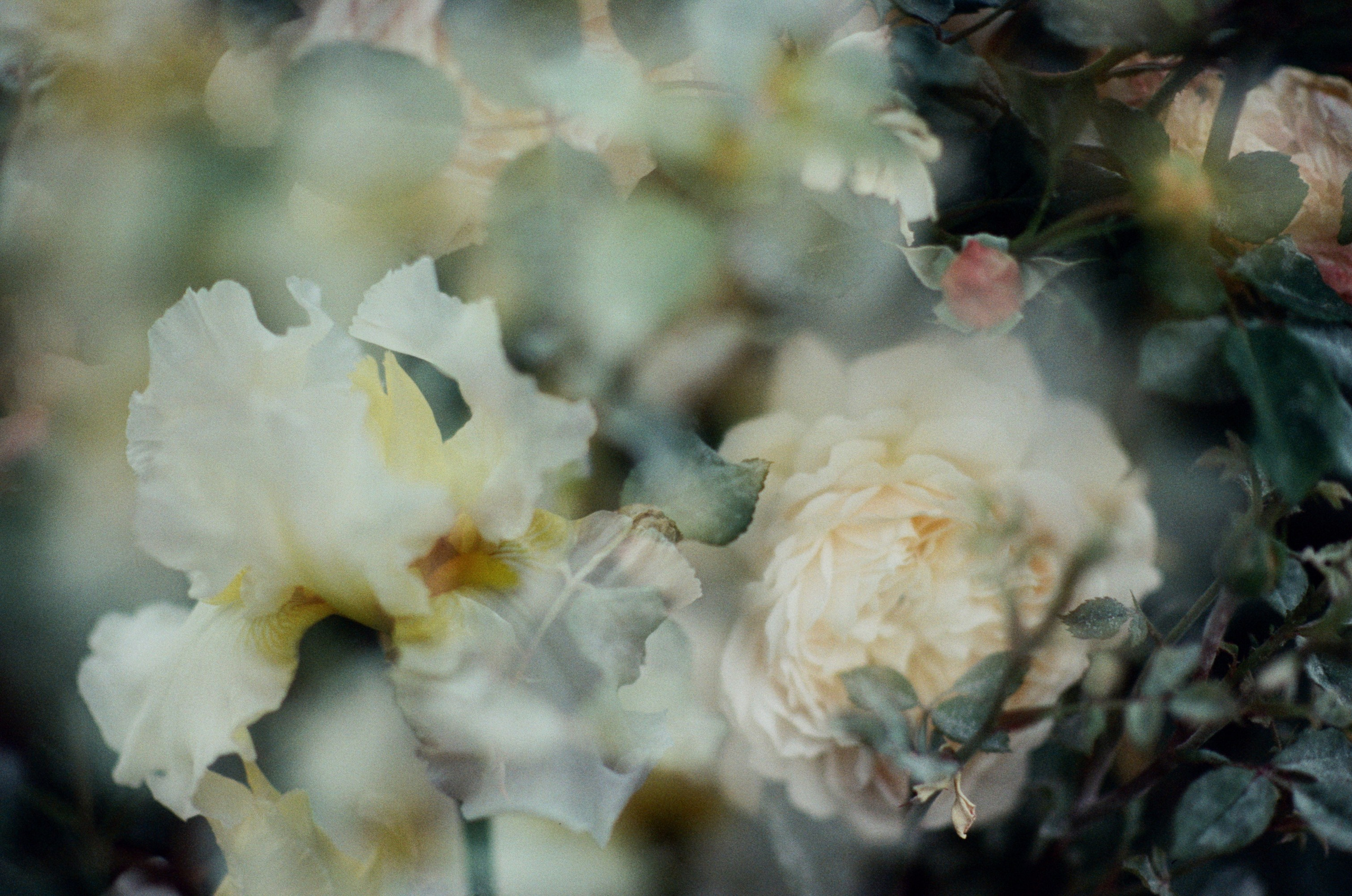 Pain shopping // ukraine, crimea V. EVER EXPOSED