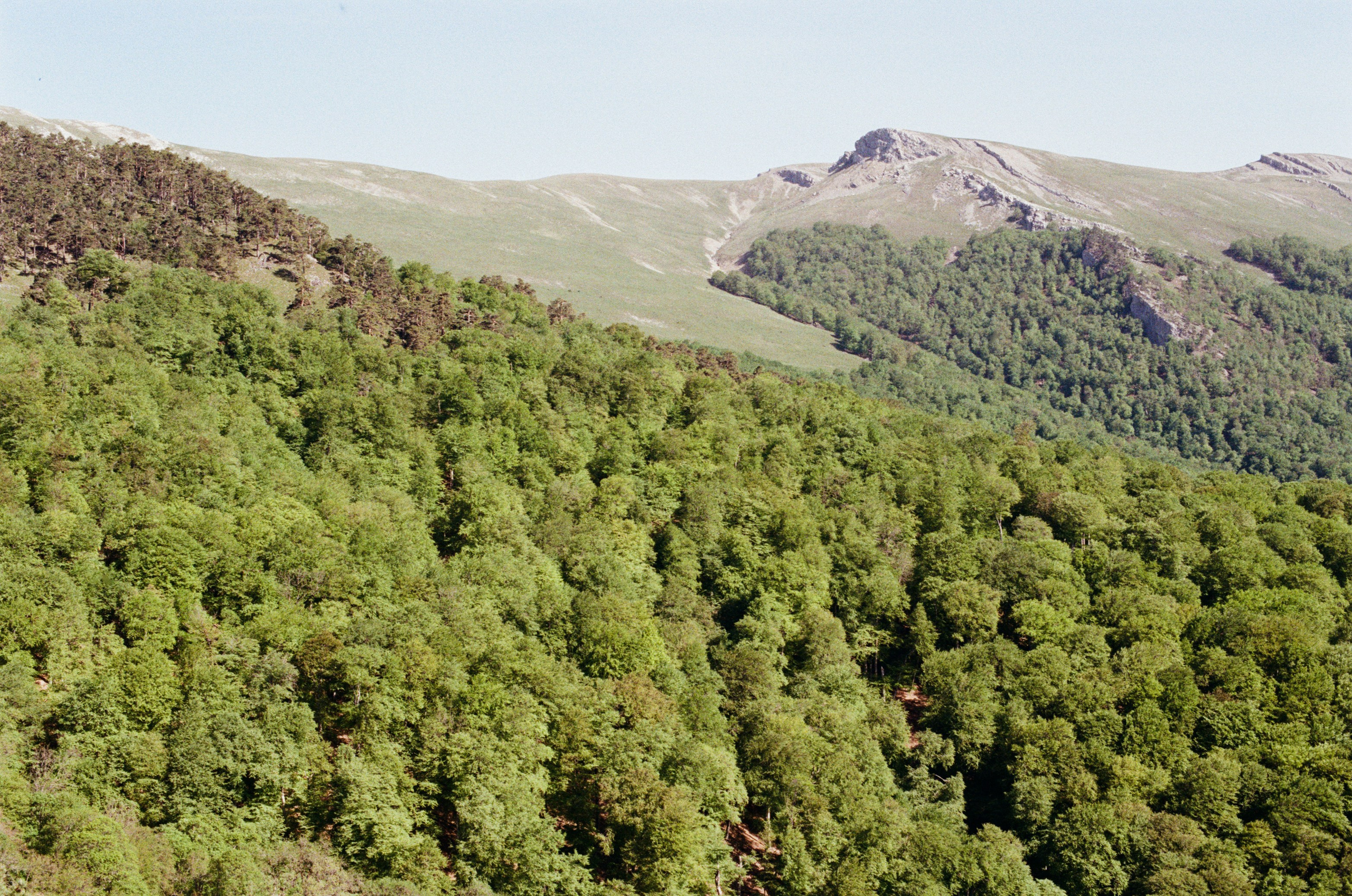 Point of no reply // ukraine, crimea III. EVER EXPOSED
