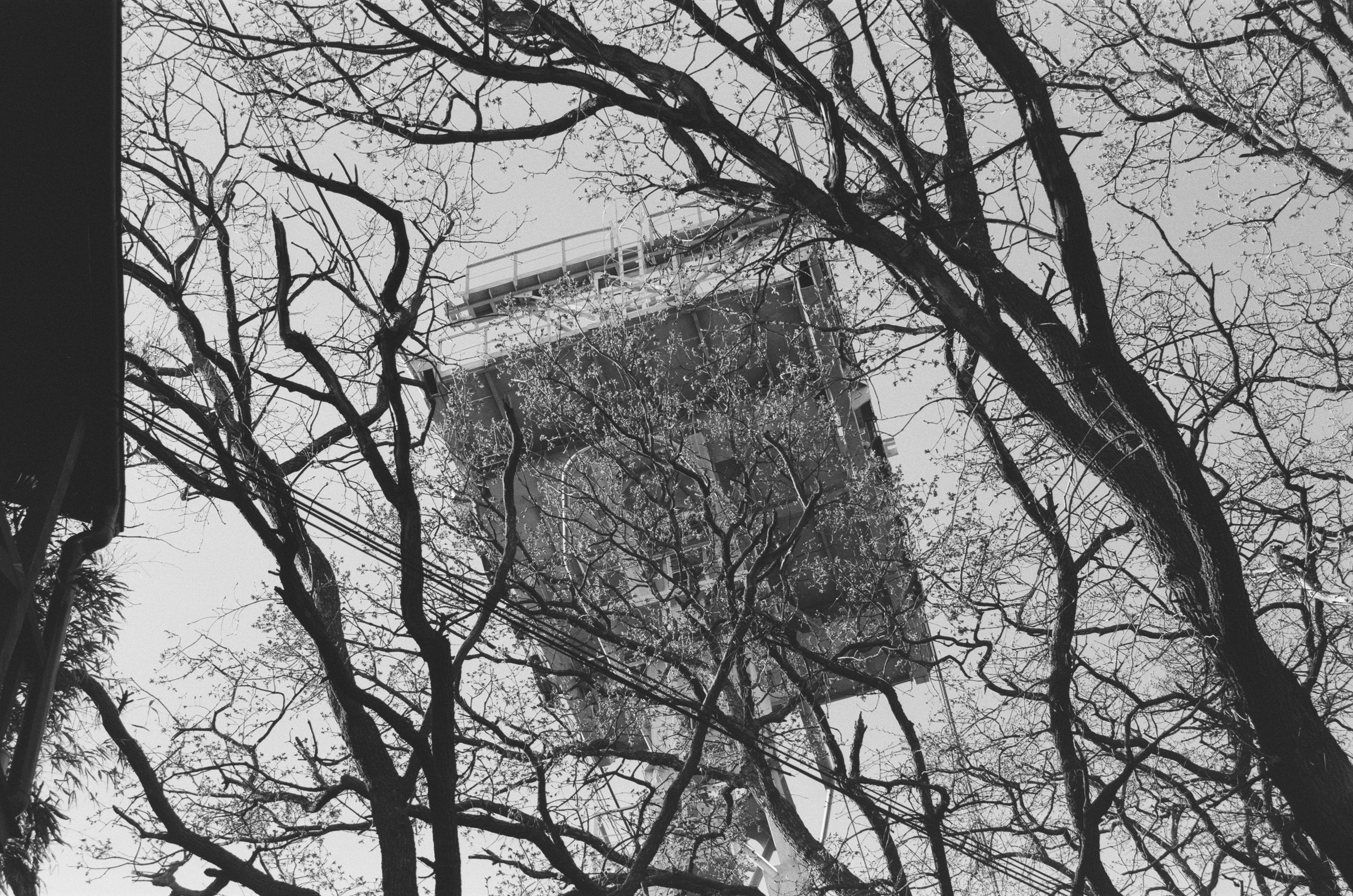 Plastinki // ukraine, crimea. EVER EXPOSED