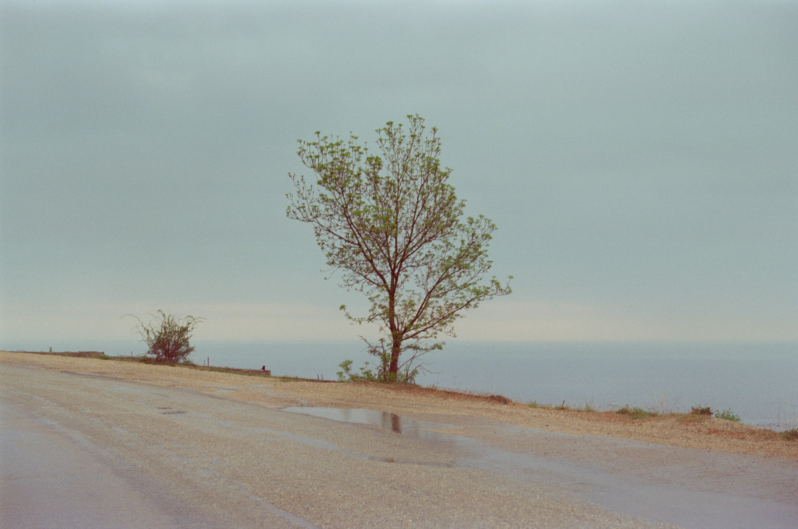 Follow you // ukraine, crimea. EVER EXPOSED