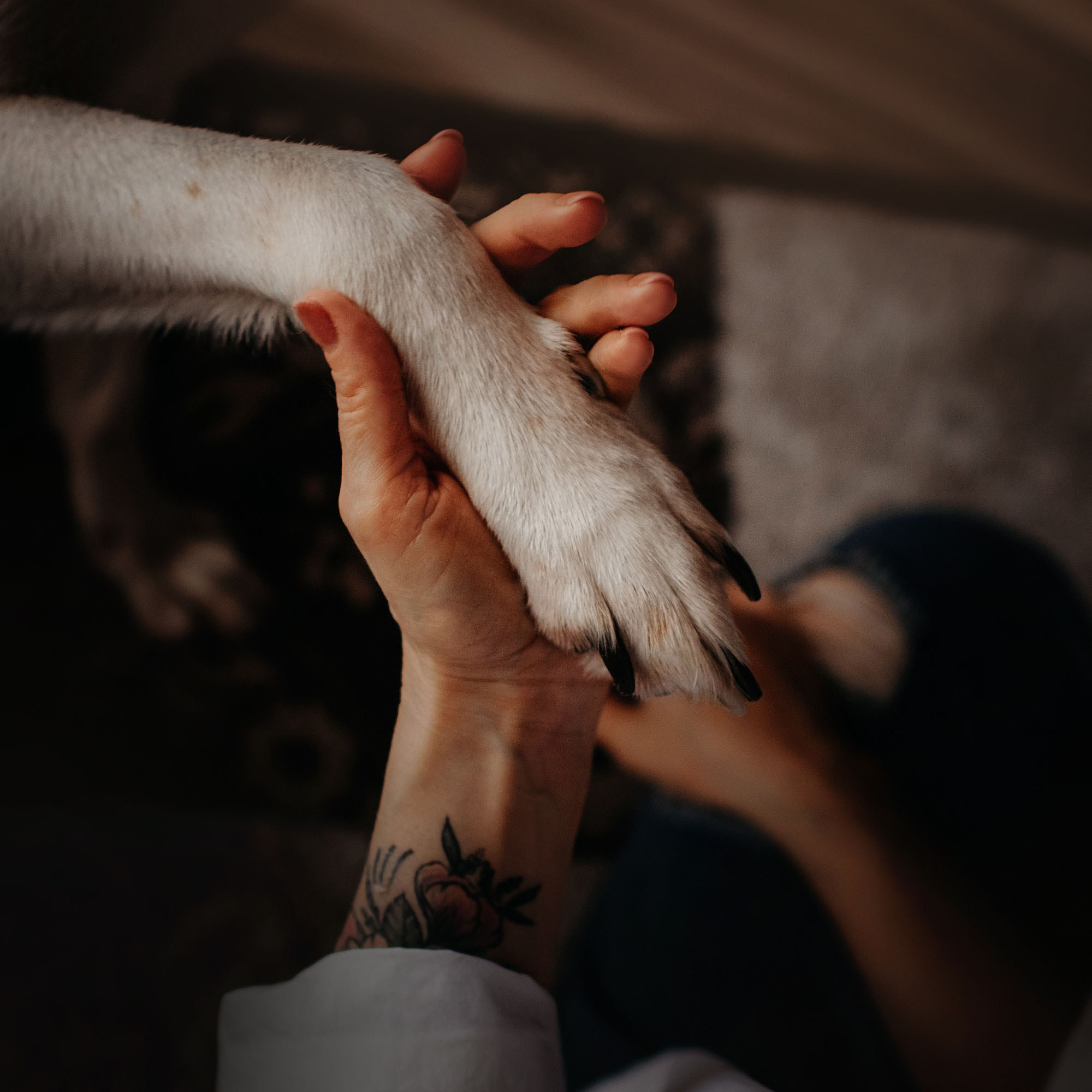 Наталья и Эпик. Фотограф Наталья Потапова