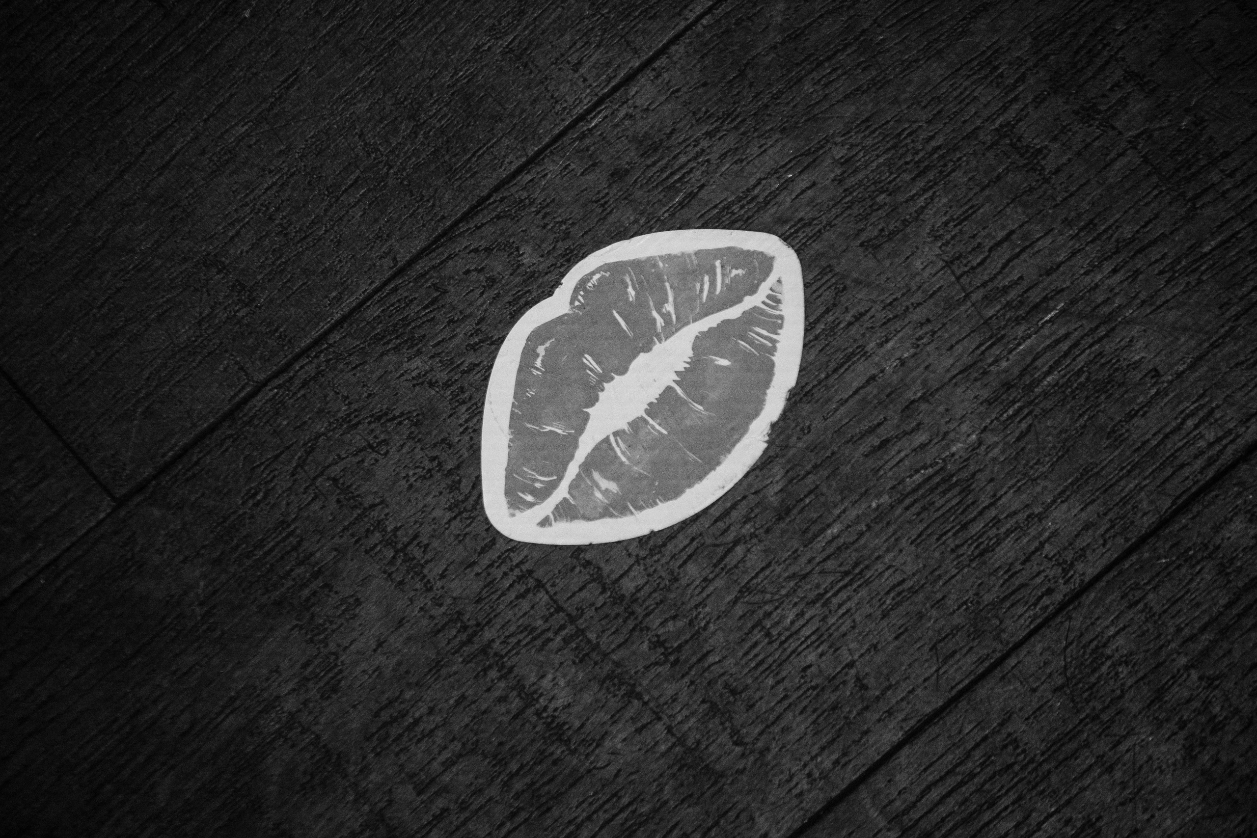 ELE AMU x PLUM — Показ новой коллекции брендов. СВОИ. ФОТООТЧЕТЫ-СОБЫТИЯ-МЕСТА