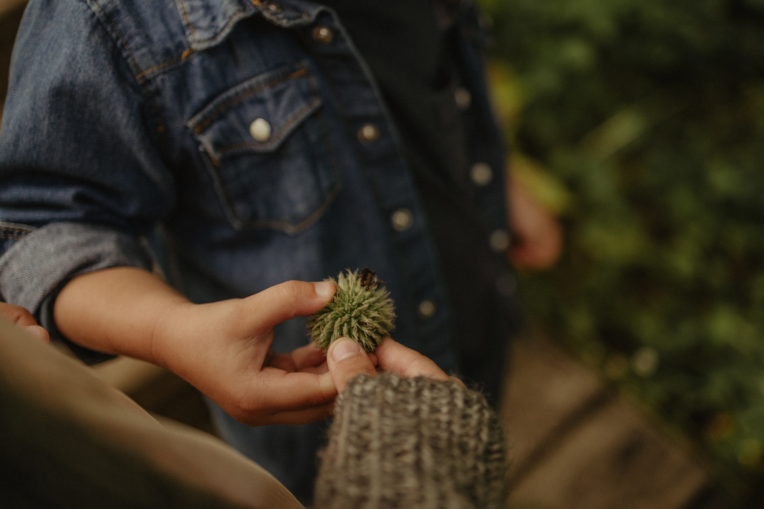 В Донском лесу. Семейный лайфстайл фотограф в г. Липецк