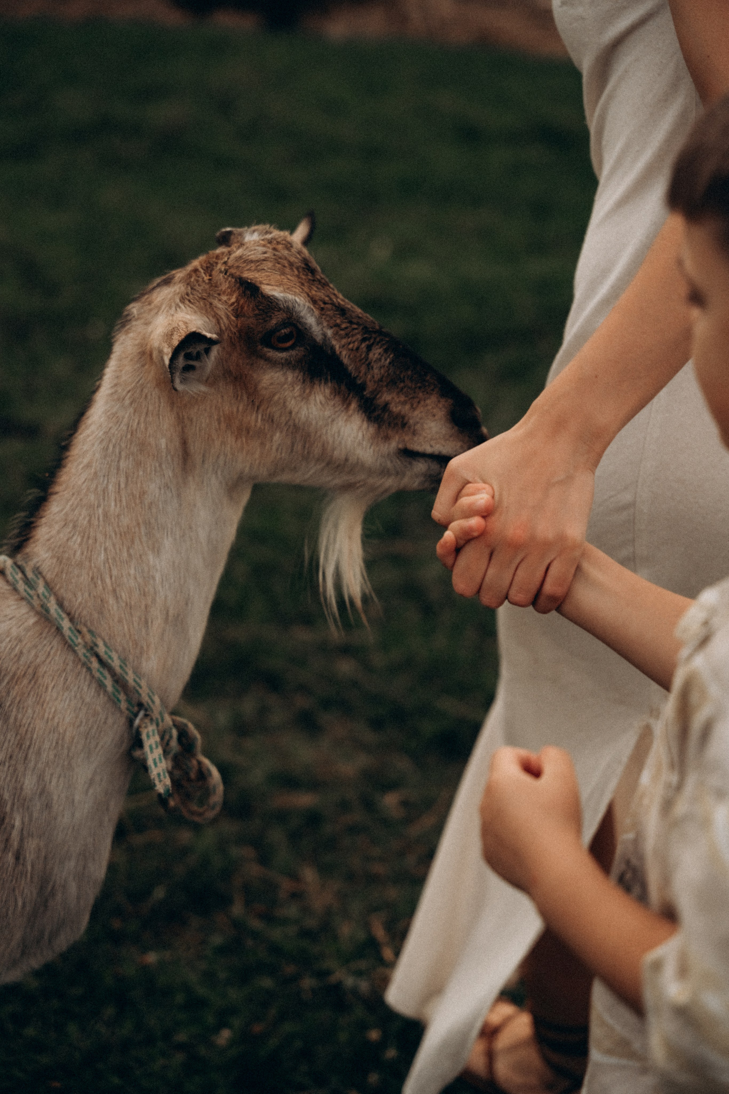 Виктория, Саша и Артемий. Фотограф Мария Миллс | Минск