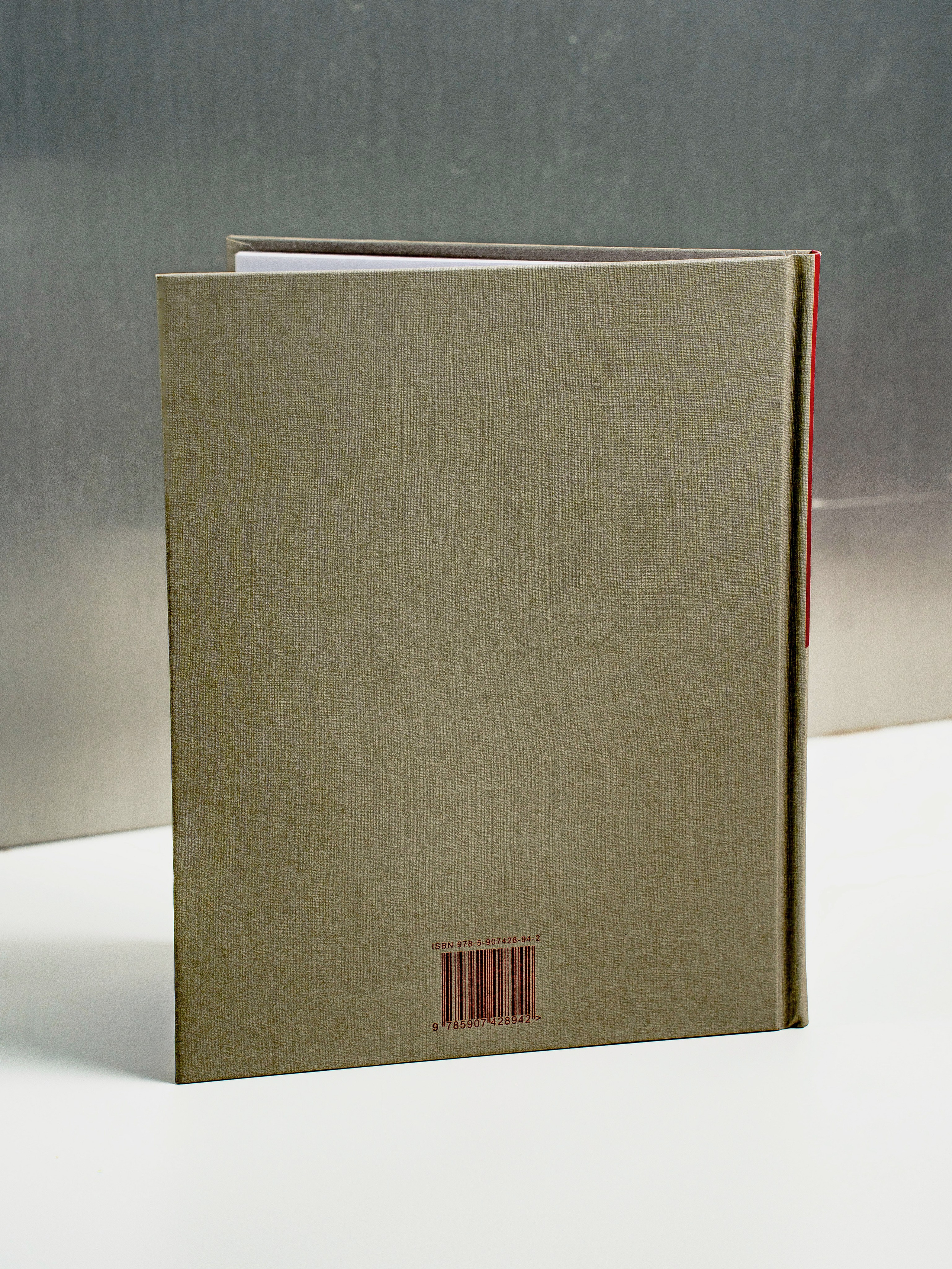 Дельфин. Портретный фотограф Москва Белогорцев Сергей