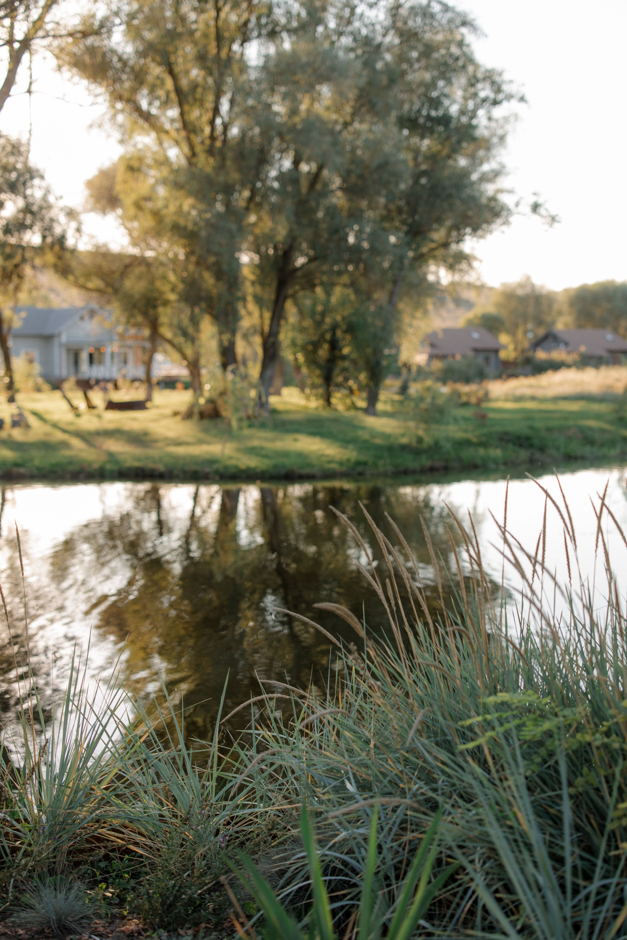 Максим+Настя. Свадебный и семейный фотограф в Белгороде Елена Риннова