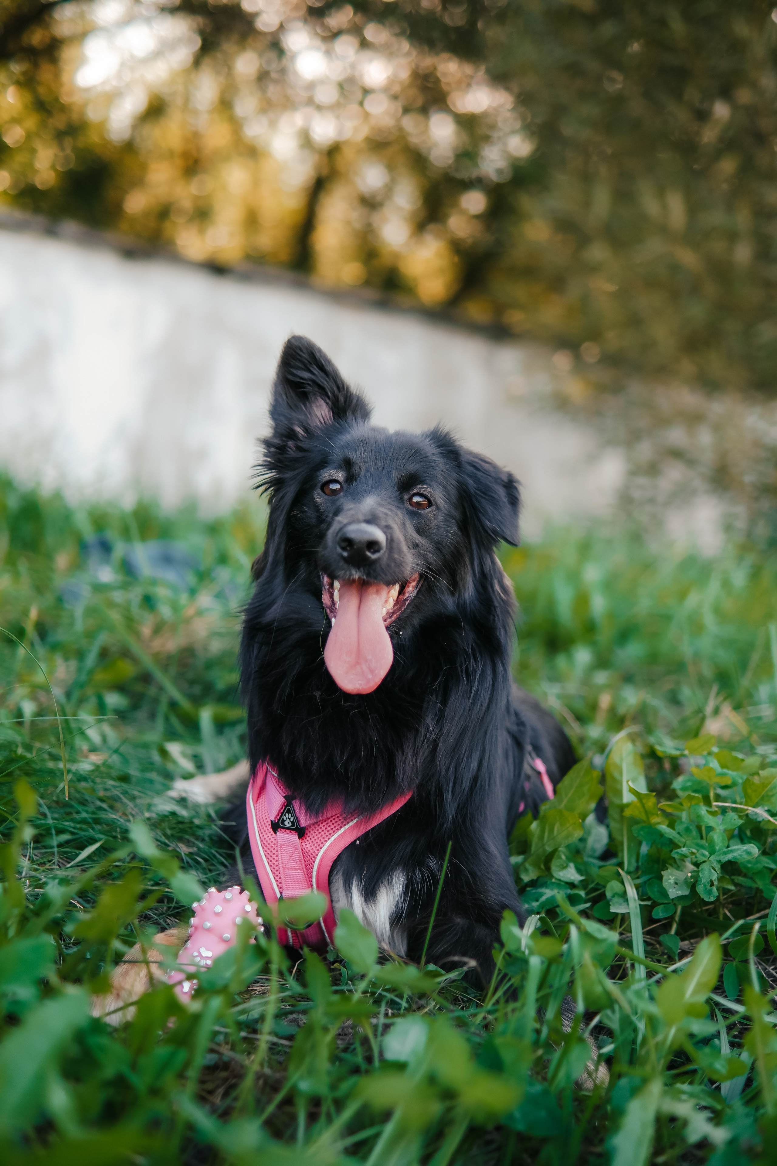 Наташа и Юня. Лена Фокина | Фотограф Смоленск